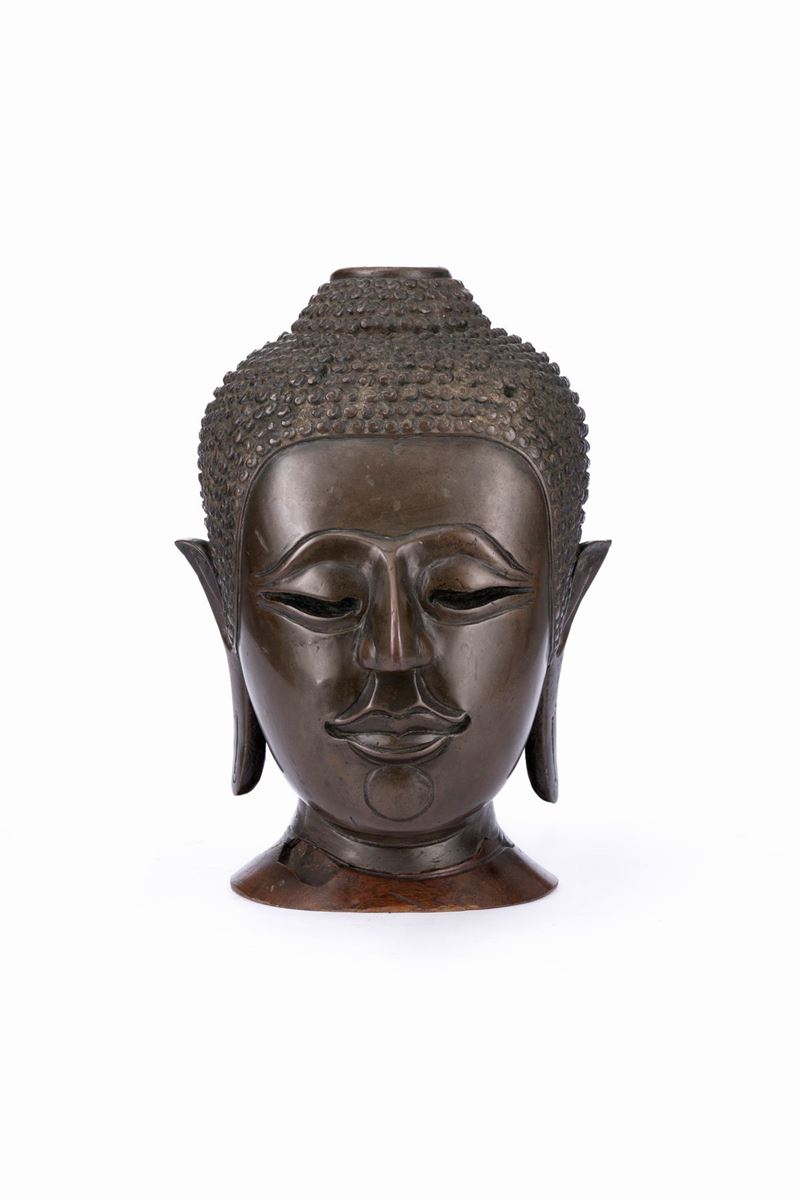 Testa in Bronzo