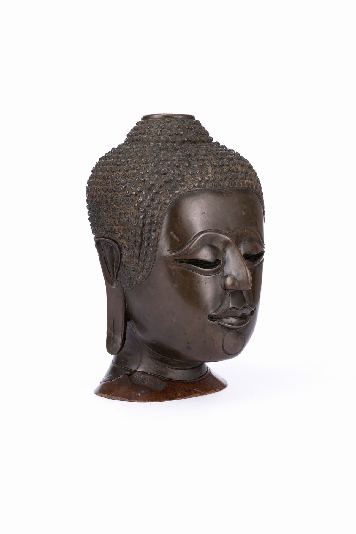 Testa in Bronzo