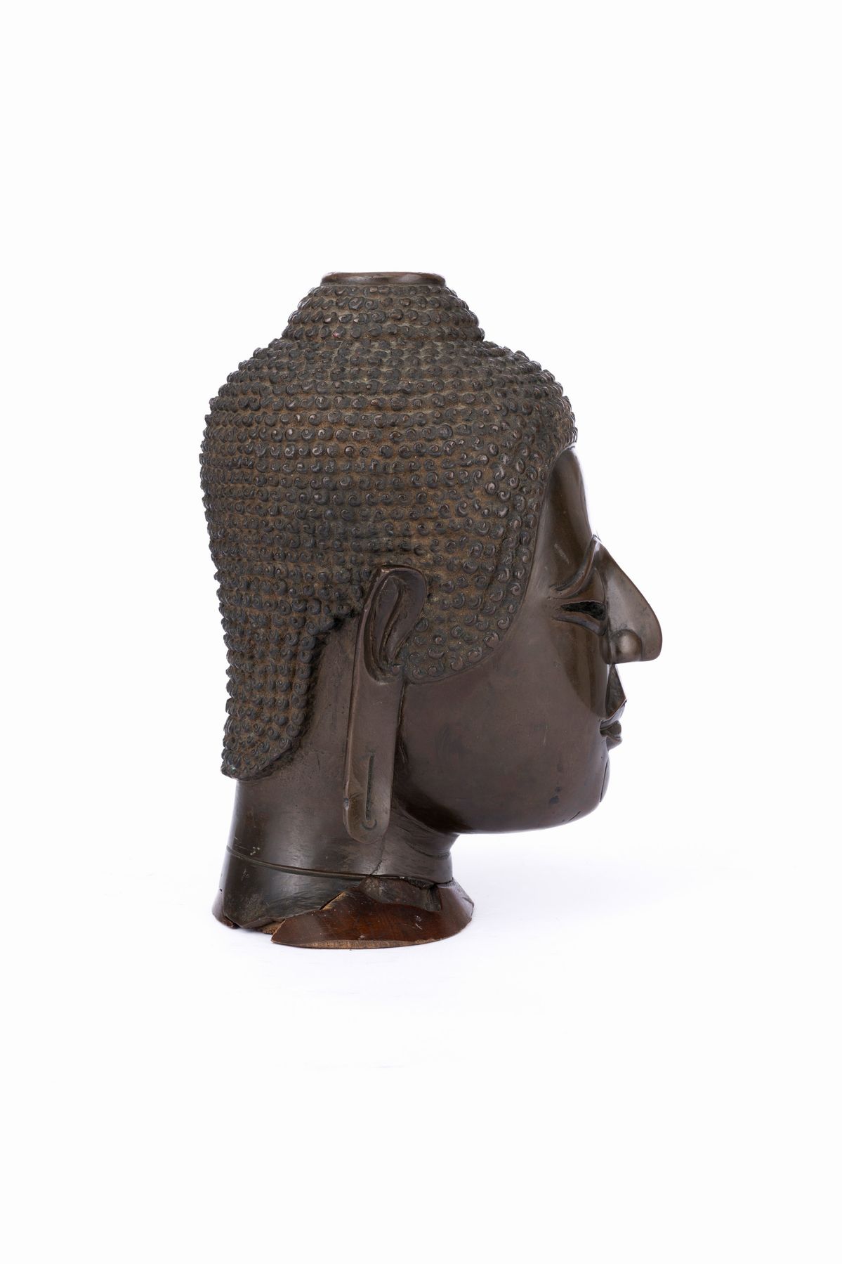 Testa in Bronzo