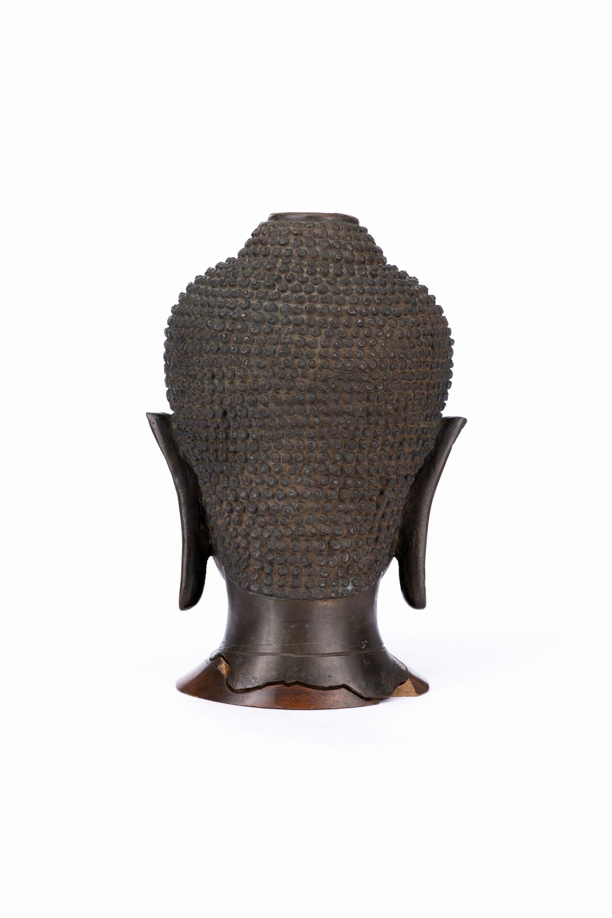 Testa in Bronzo
