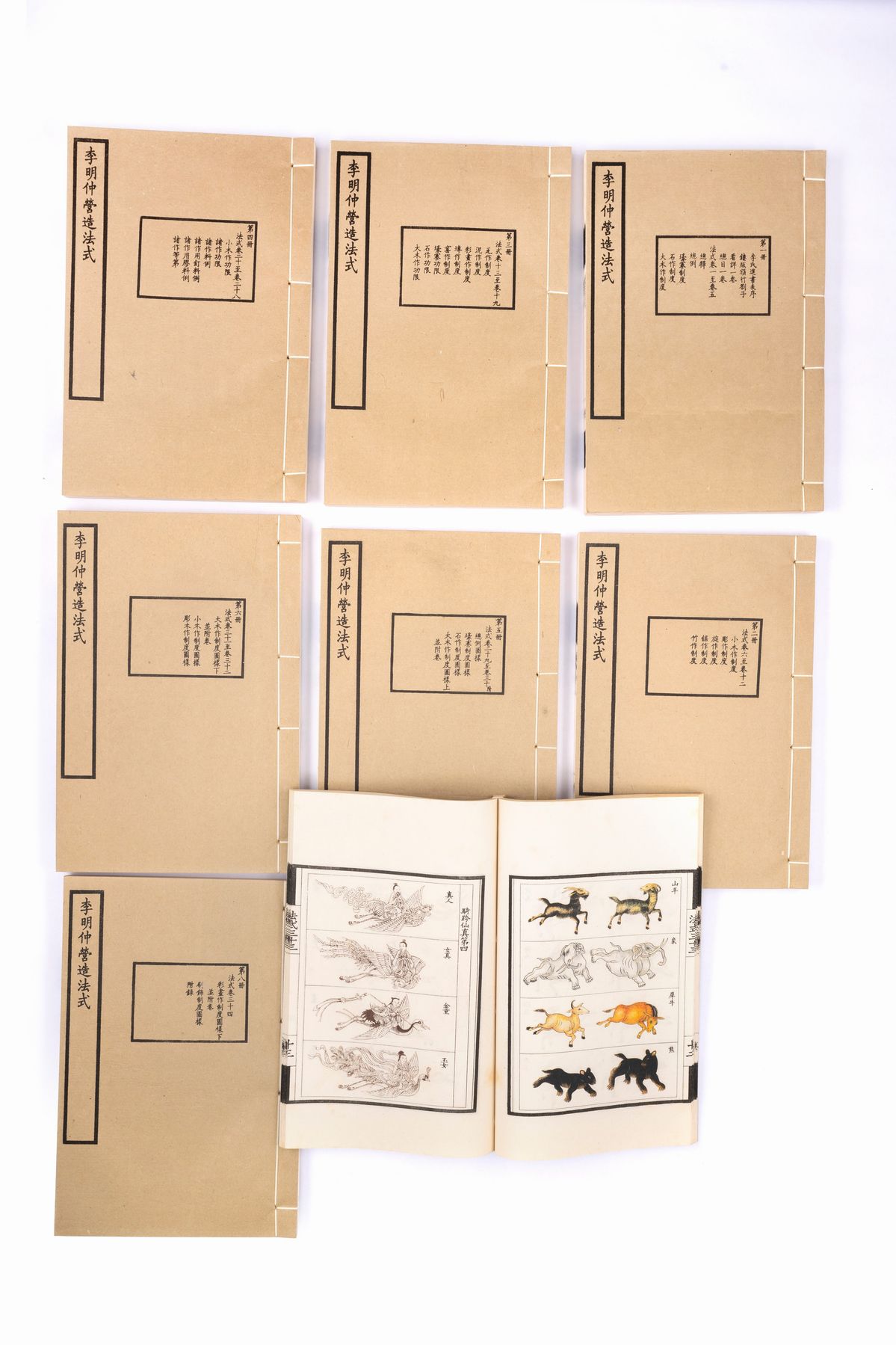 Cinque Album in Carta