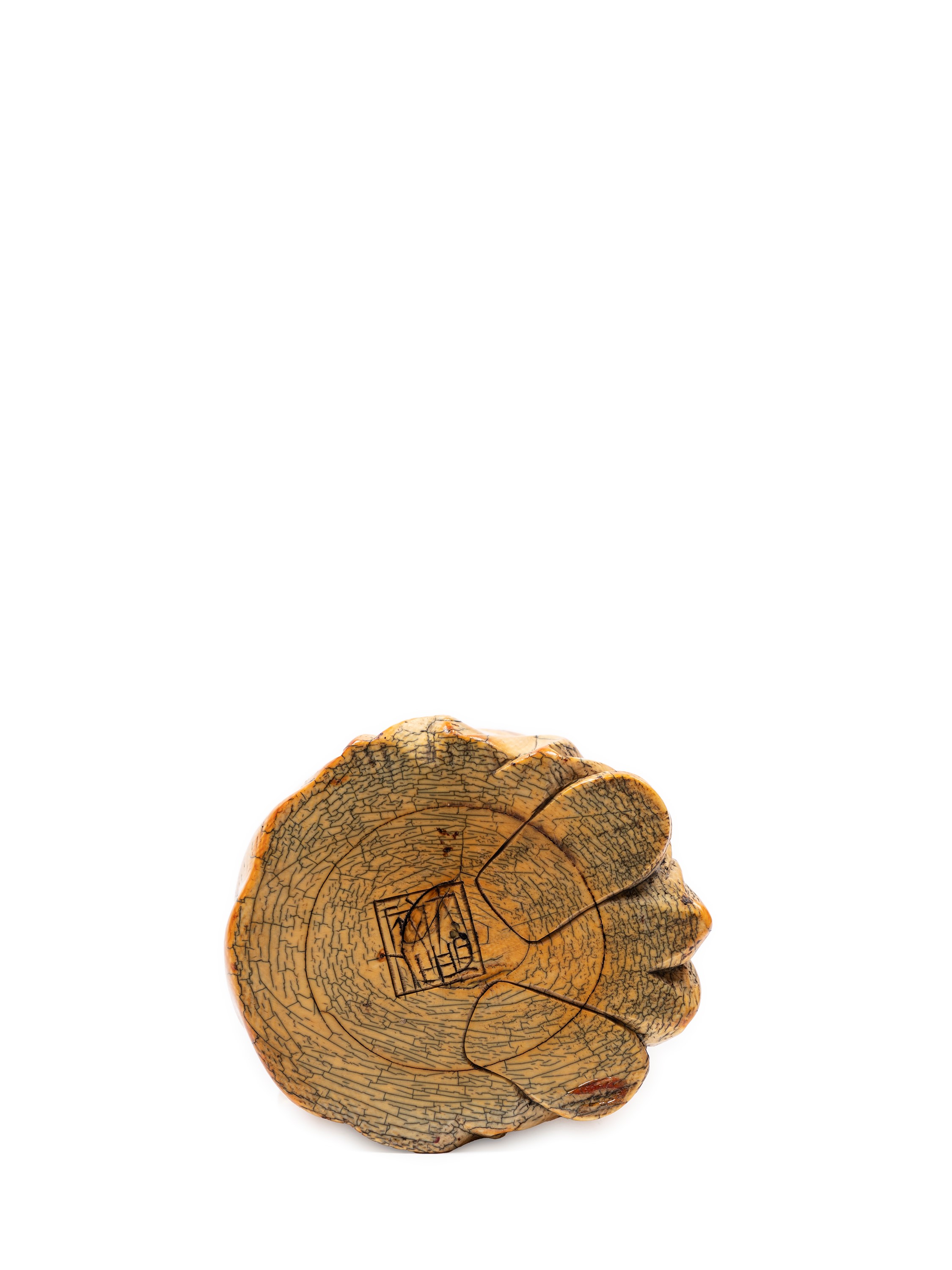Figura in Mammut