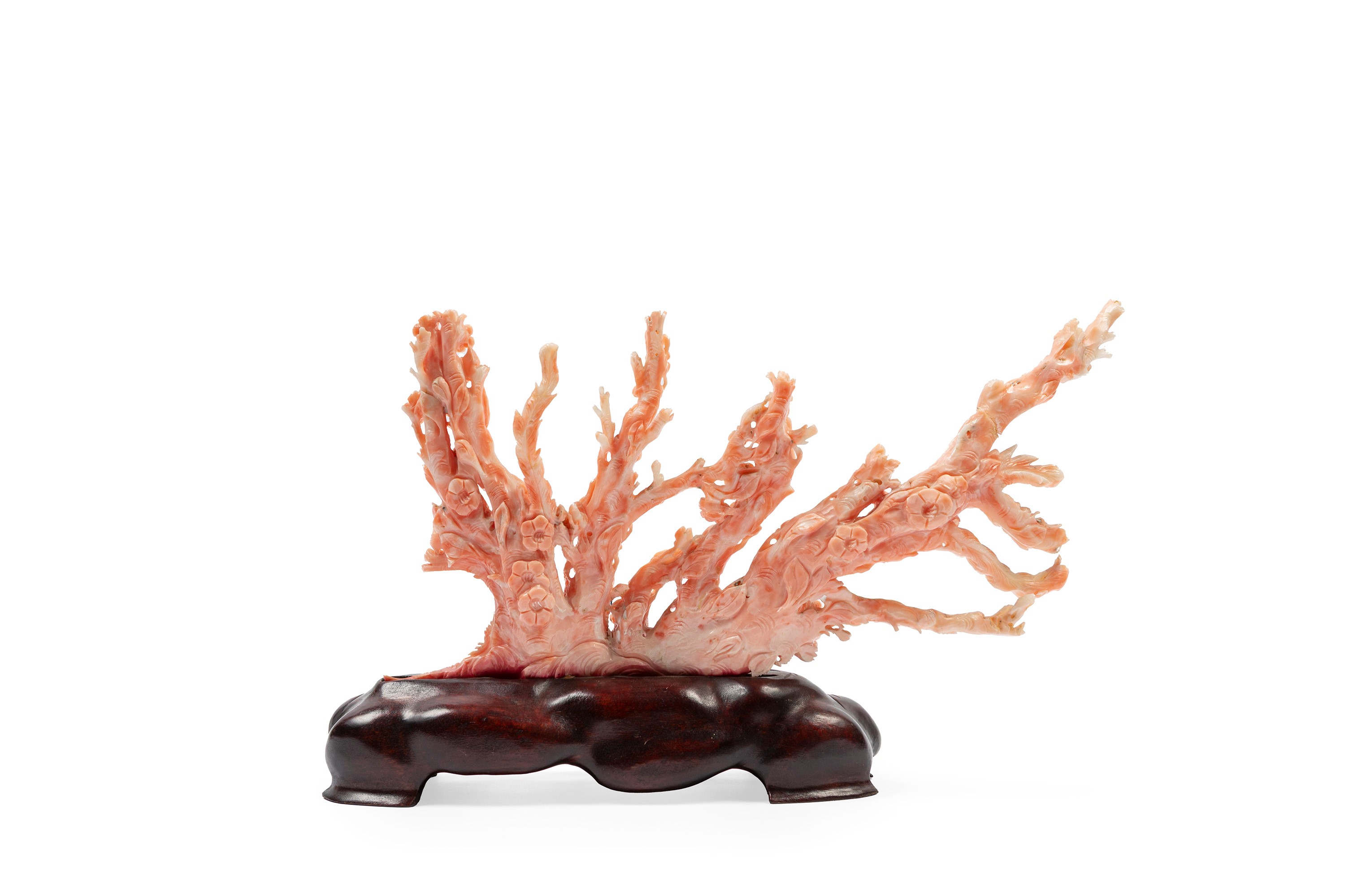 ☼SCULTURA IN CORALLO