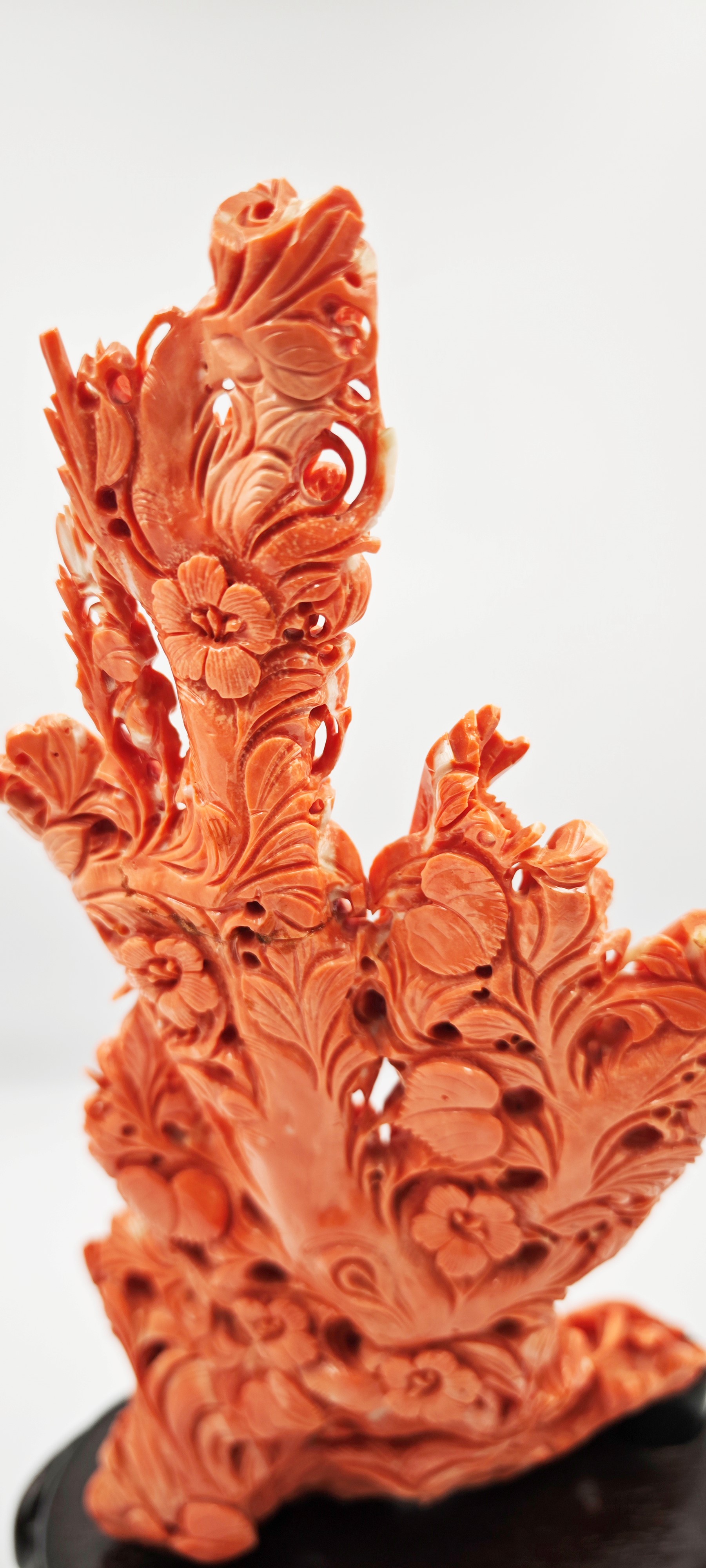 ☼SCULTURA IN CORALLO MOMO O CERASUOLO, CINA, INIZIO XX SECOLO