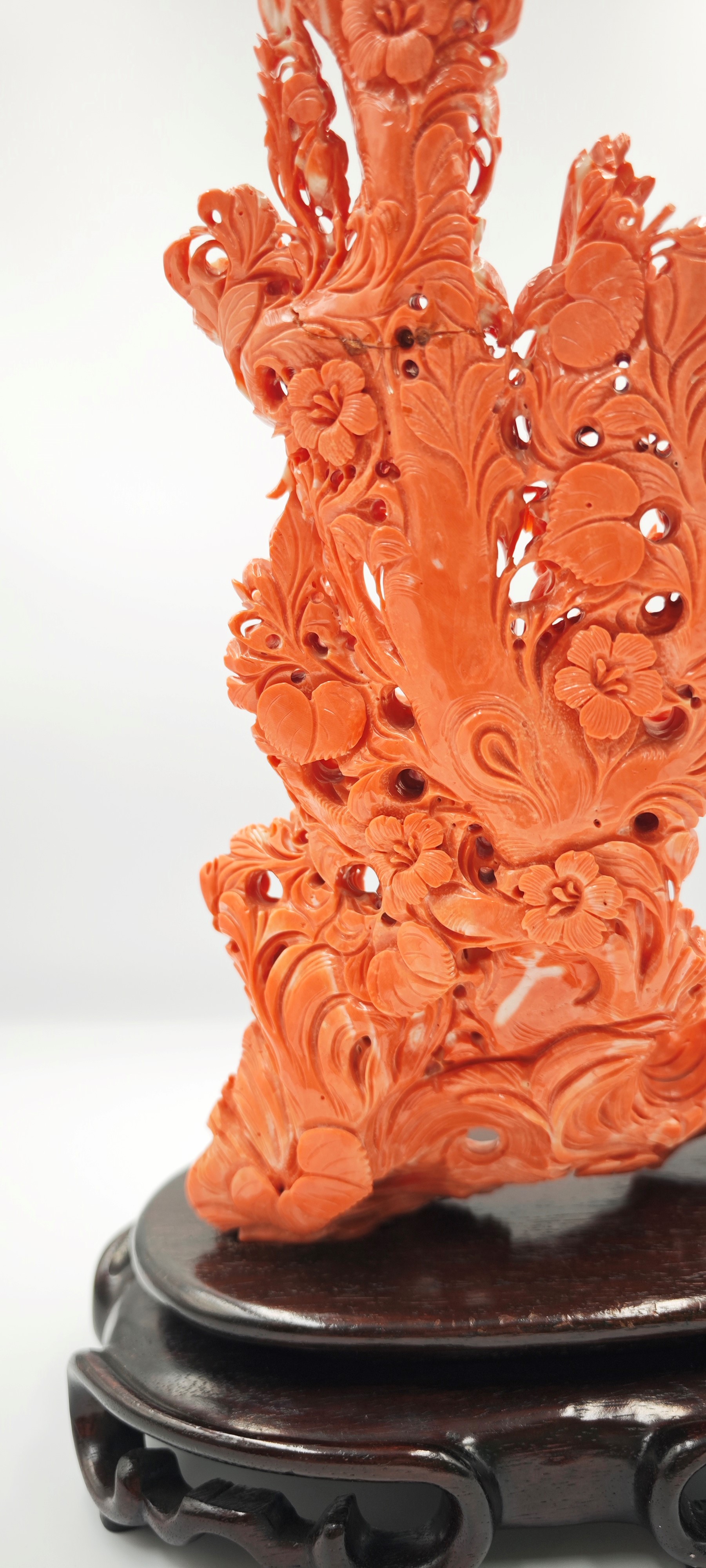 ☼SCULTURA IN CORALLO MOMO O CERASUOLO, CINA, INIZIO XX SECOLO