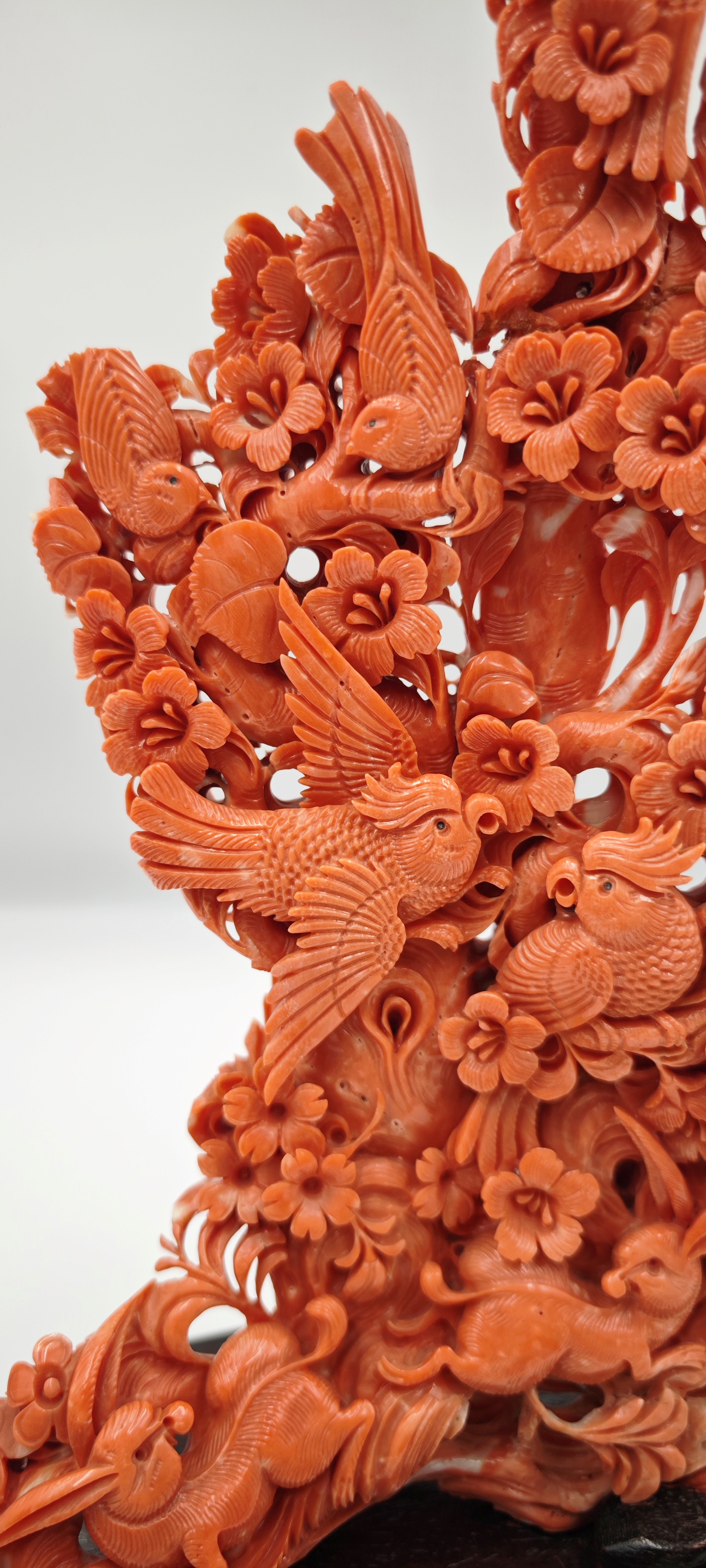 ☼SCULTURA IN CORALLO MOMO O CERASUOLO, CINA, INIZIO XX SECOLO