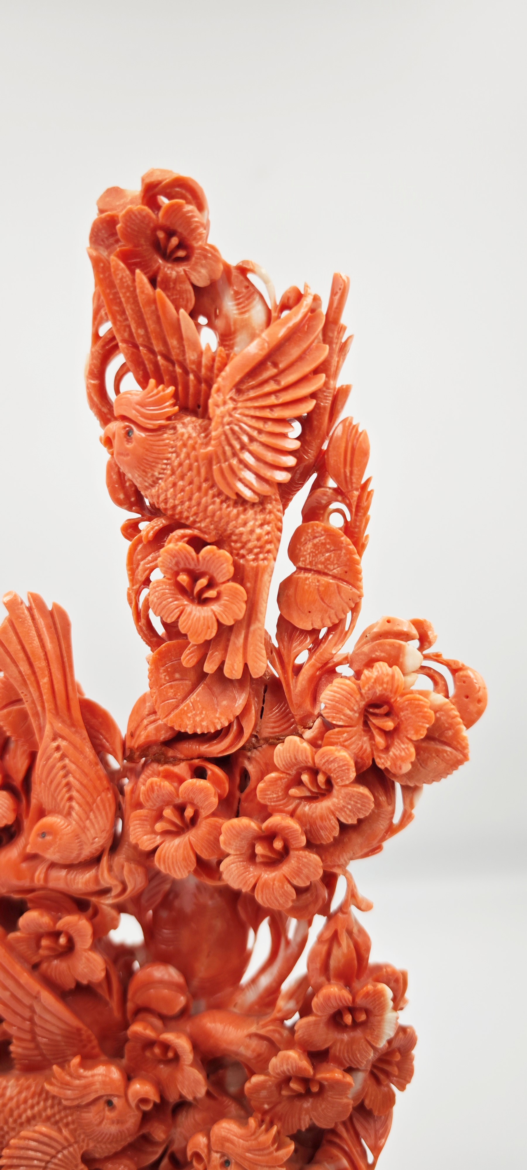 ☼SCULTURA IN CORALLO MOMO O CERASUOLO, CINA, INIZIO XX SECOLO