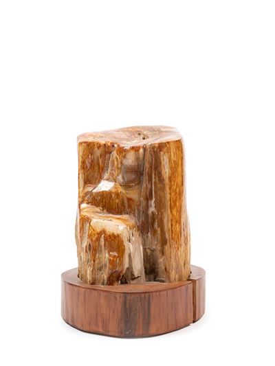 Tronco Fossile, supporto in legno, altezza 23,5 cm