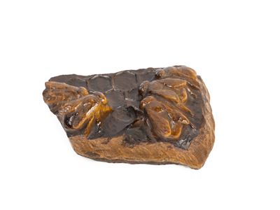Scultura in occhio di tigre raffigurante api e alveare