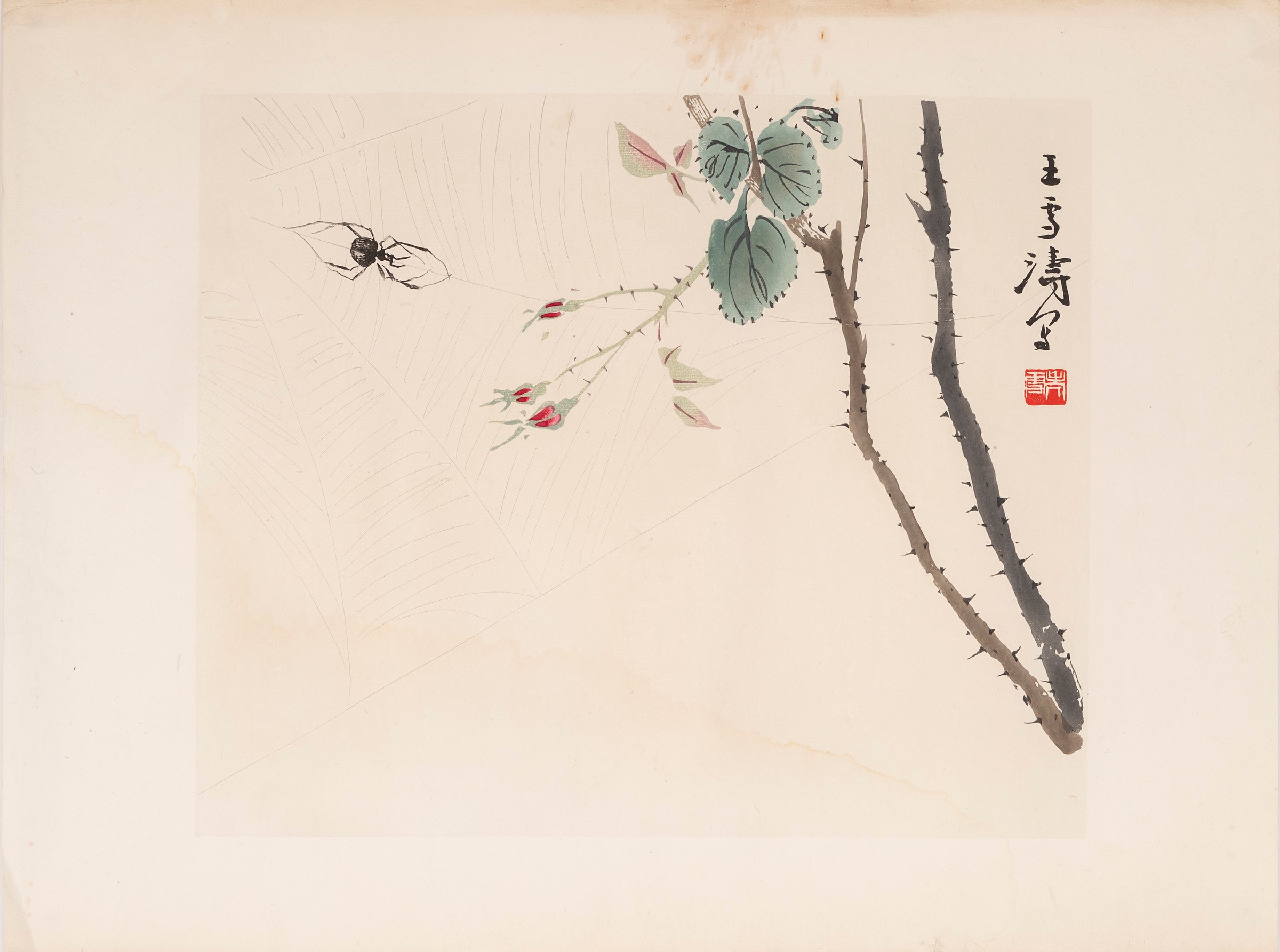 Wang Xue-tao, Gruppo di quattro litografie cinesi, XX secolo