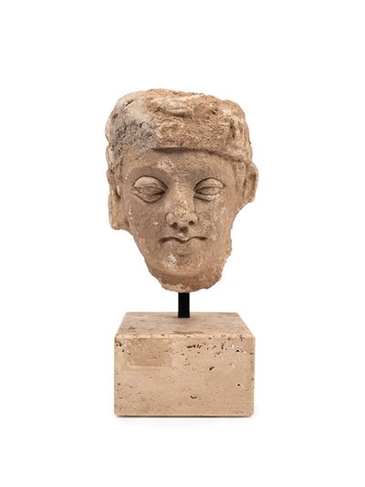 Testa Gandhara in stucco, h 25 cm