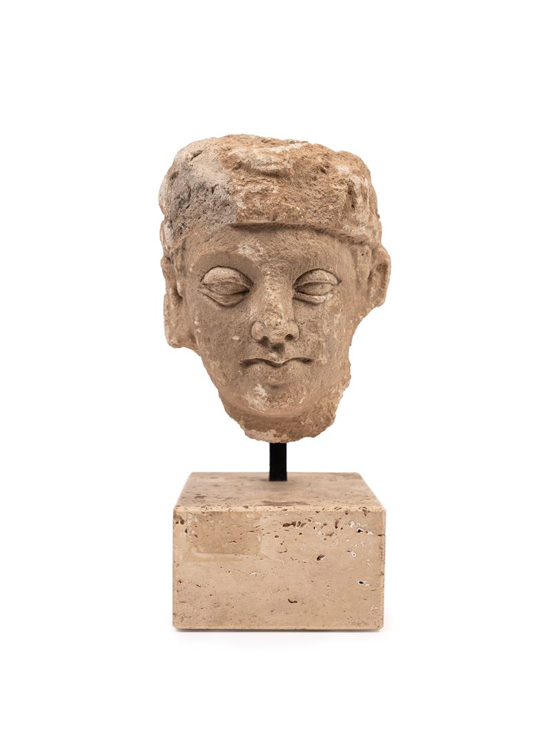 Testa Gandhara in stucco, h 25 cm