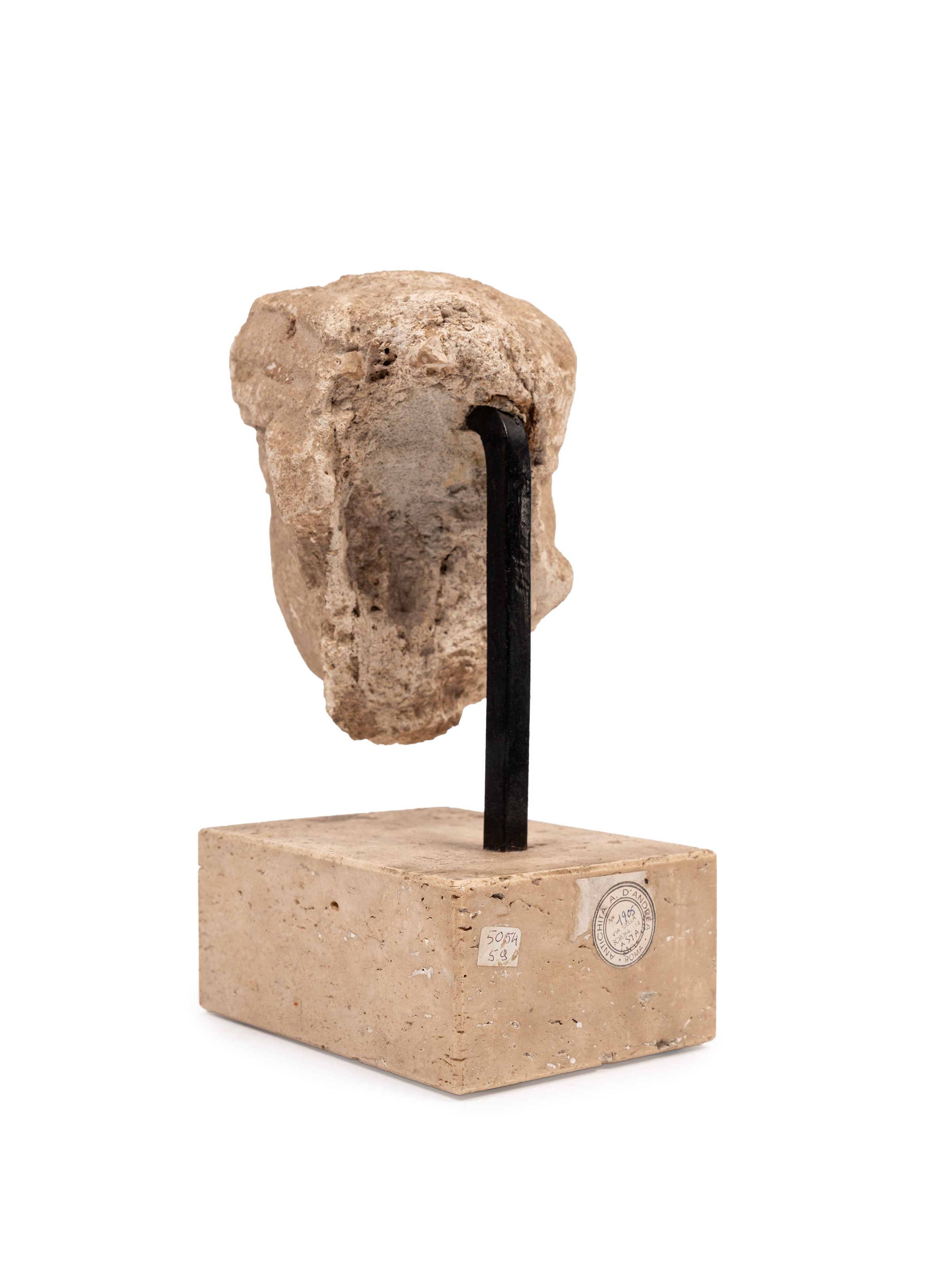 Testa Gandhara in stucco, h 25 cm