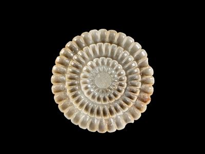 Piatto in giada celadon, Cina, XIX/XX secolo, a forma di crisantemo