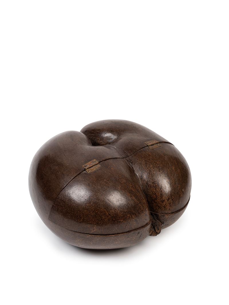 COCO DE MER