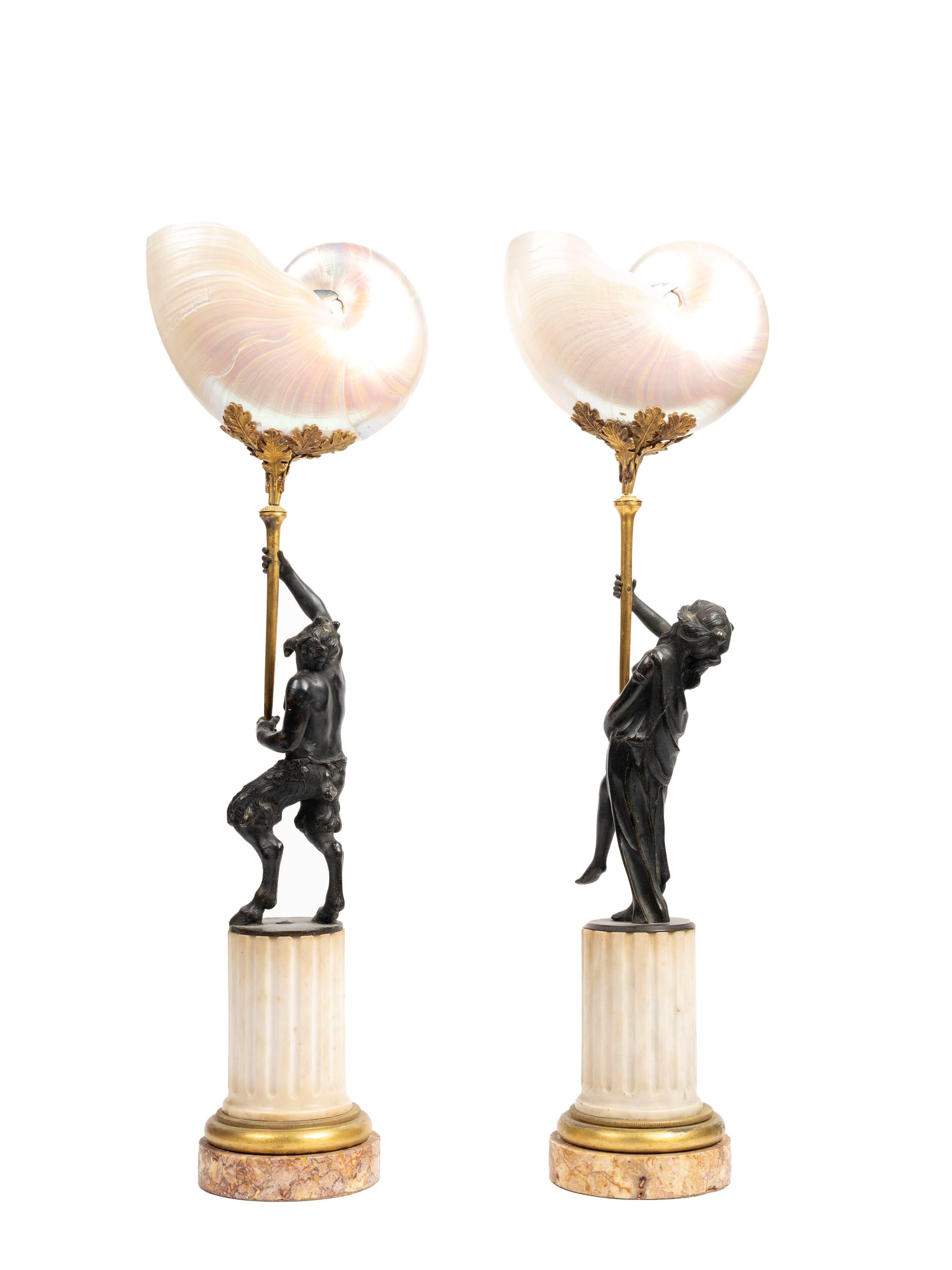 Coppia di Nautilus, montatura in bronzo e marmo, XIX secolo