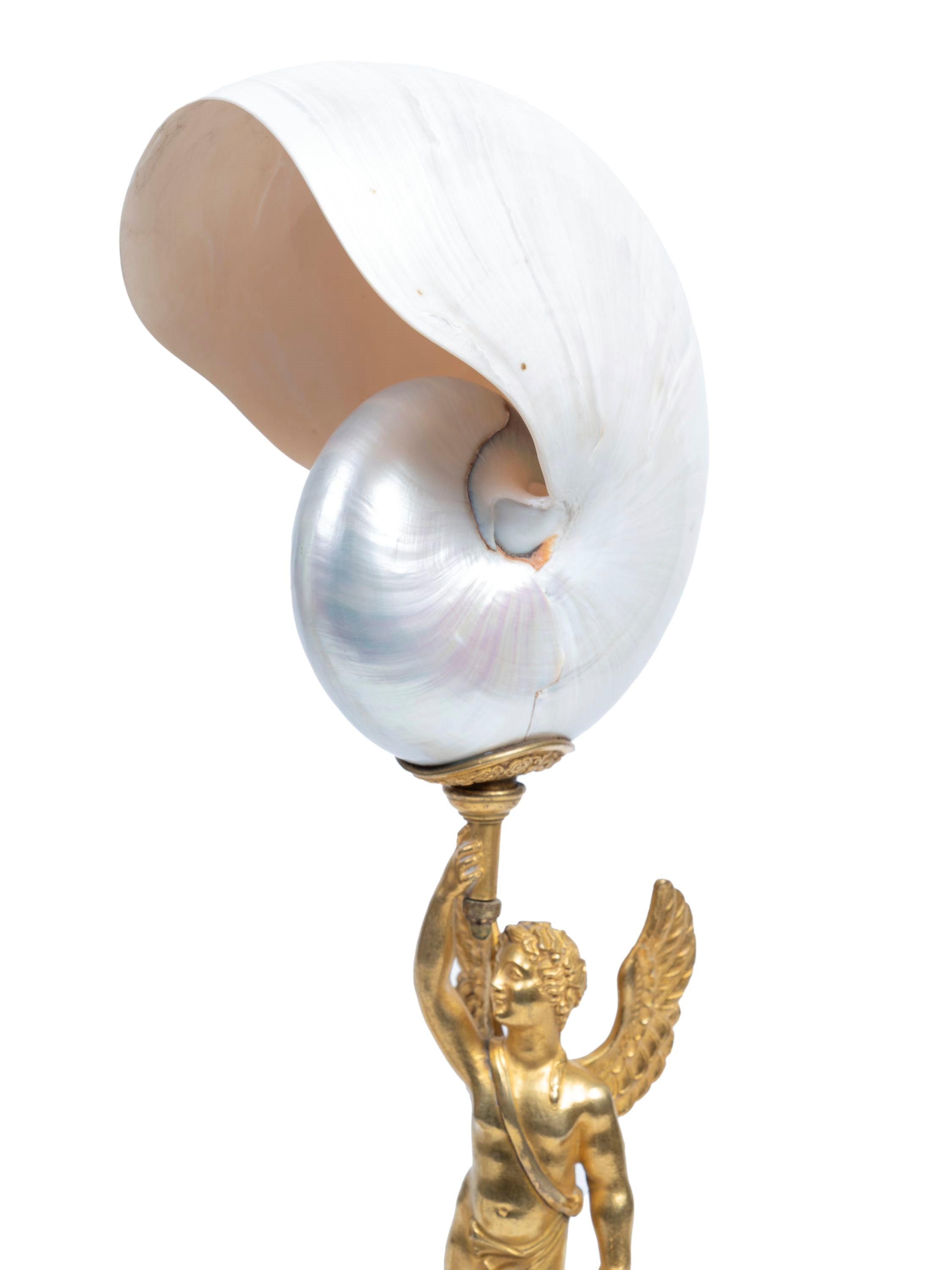 COPPIA DI NAUTILUS MONTATI IN BRONZO DORATO, XIX secolo