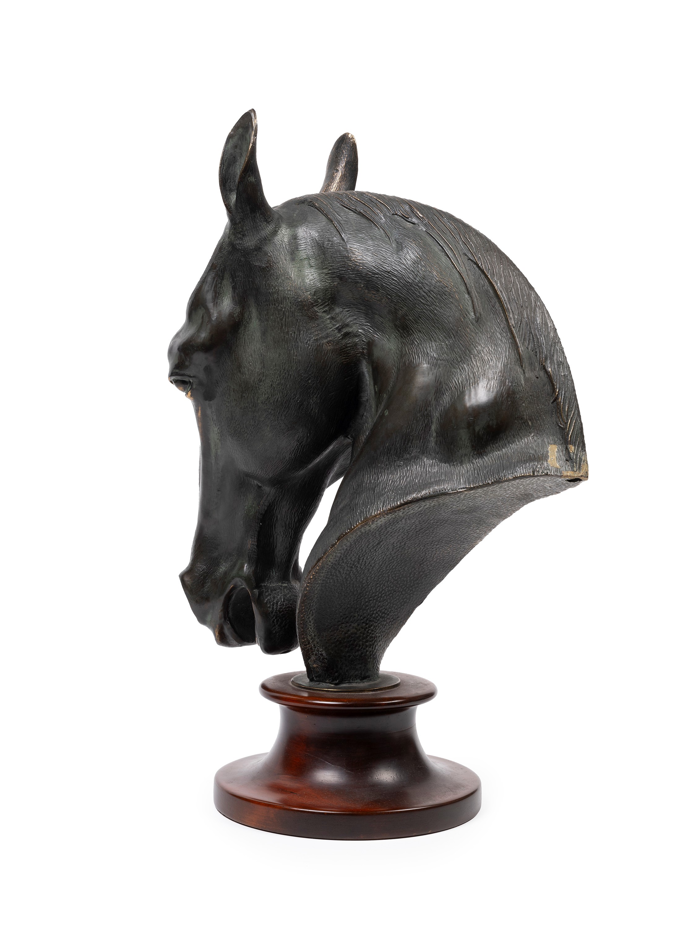 Modello di testa di cavallo in bronzo, Secolo XX