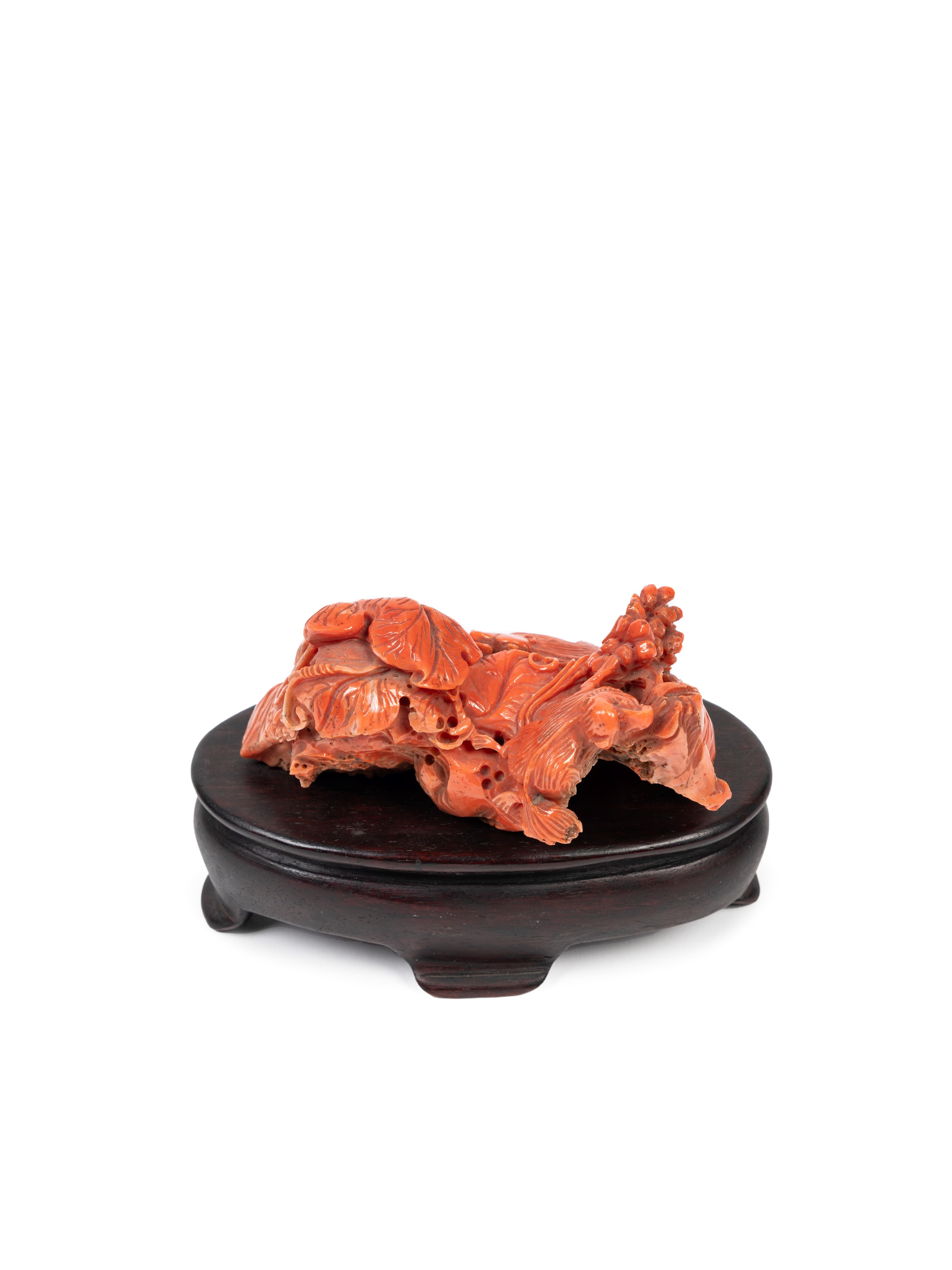 ☼SCULTURA IN CORALLO ROSSO MOMO O CERASUOLO
