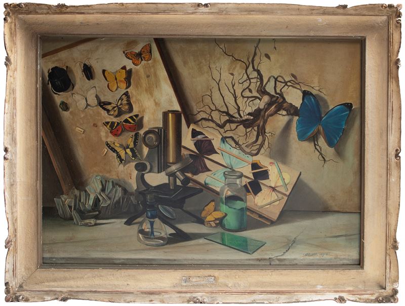 Adriano Gajoni - Natura morta con farfalle, olio su tela