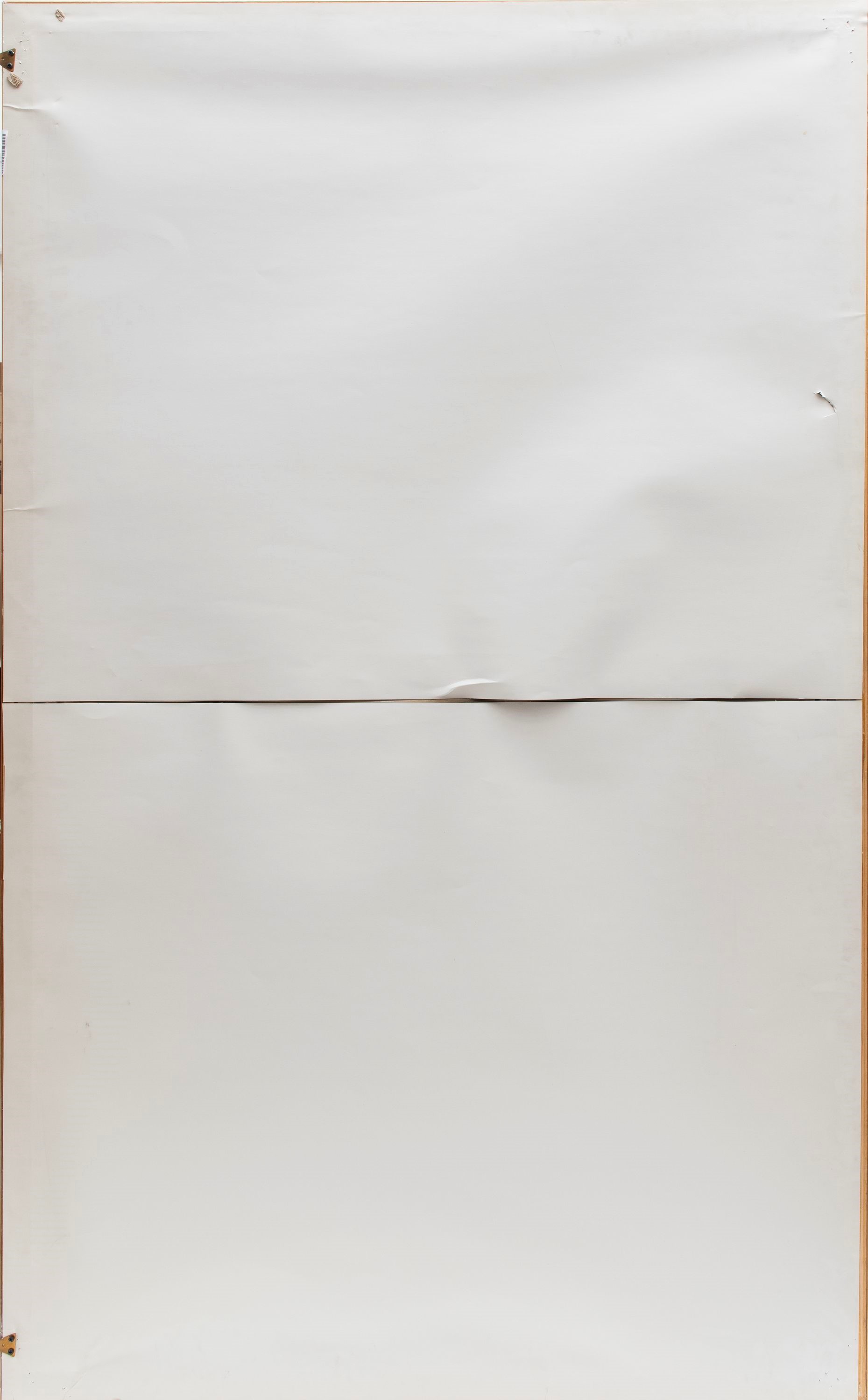 GRANDE TESSUTO CON DRAGHI