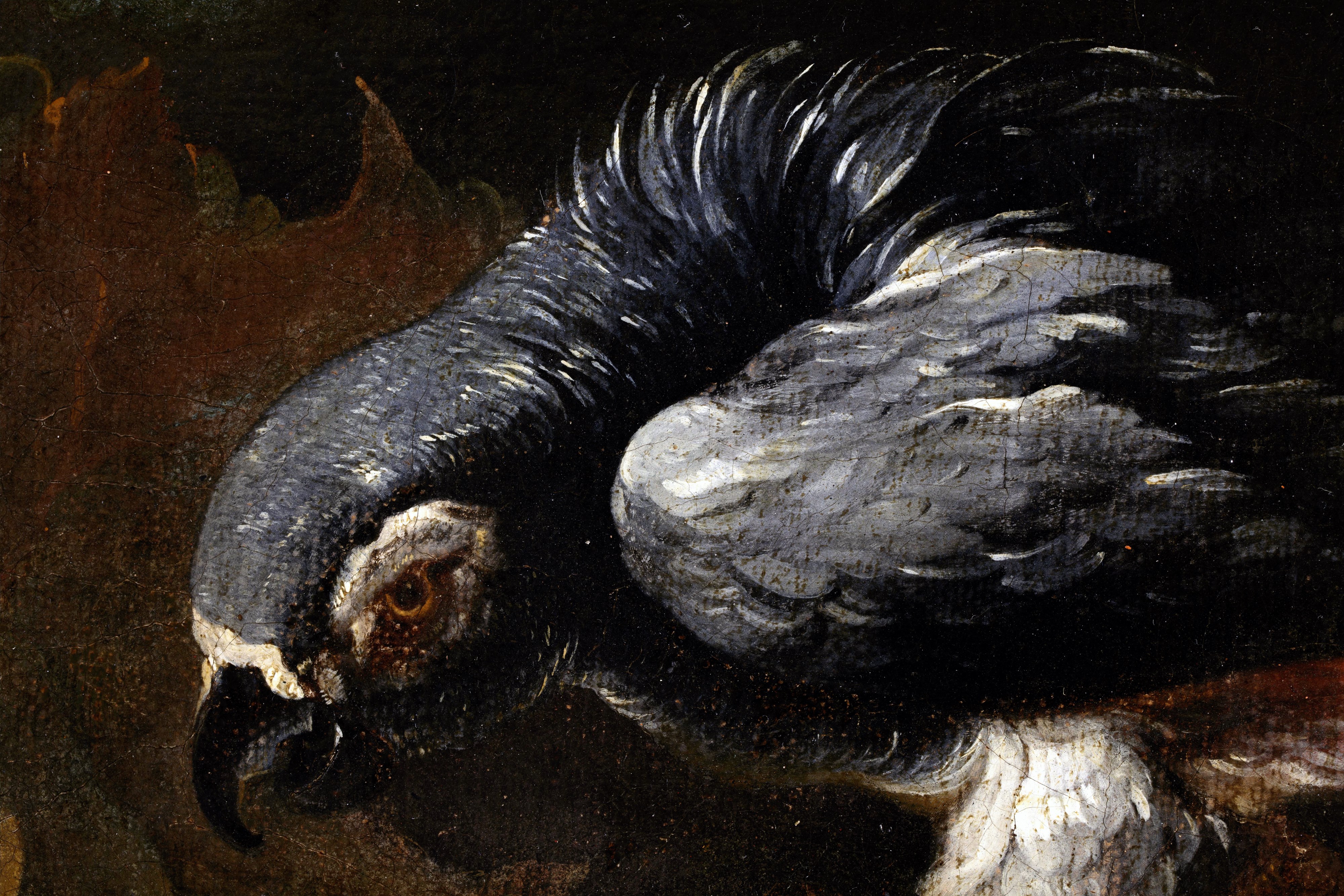 Jan Fyt - Coppia di importanti nature morte con frutta e animali, olio su tela