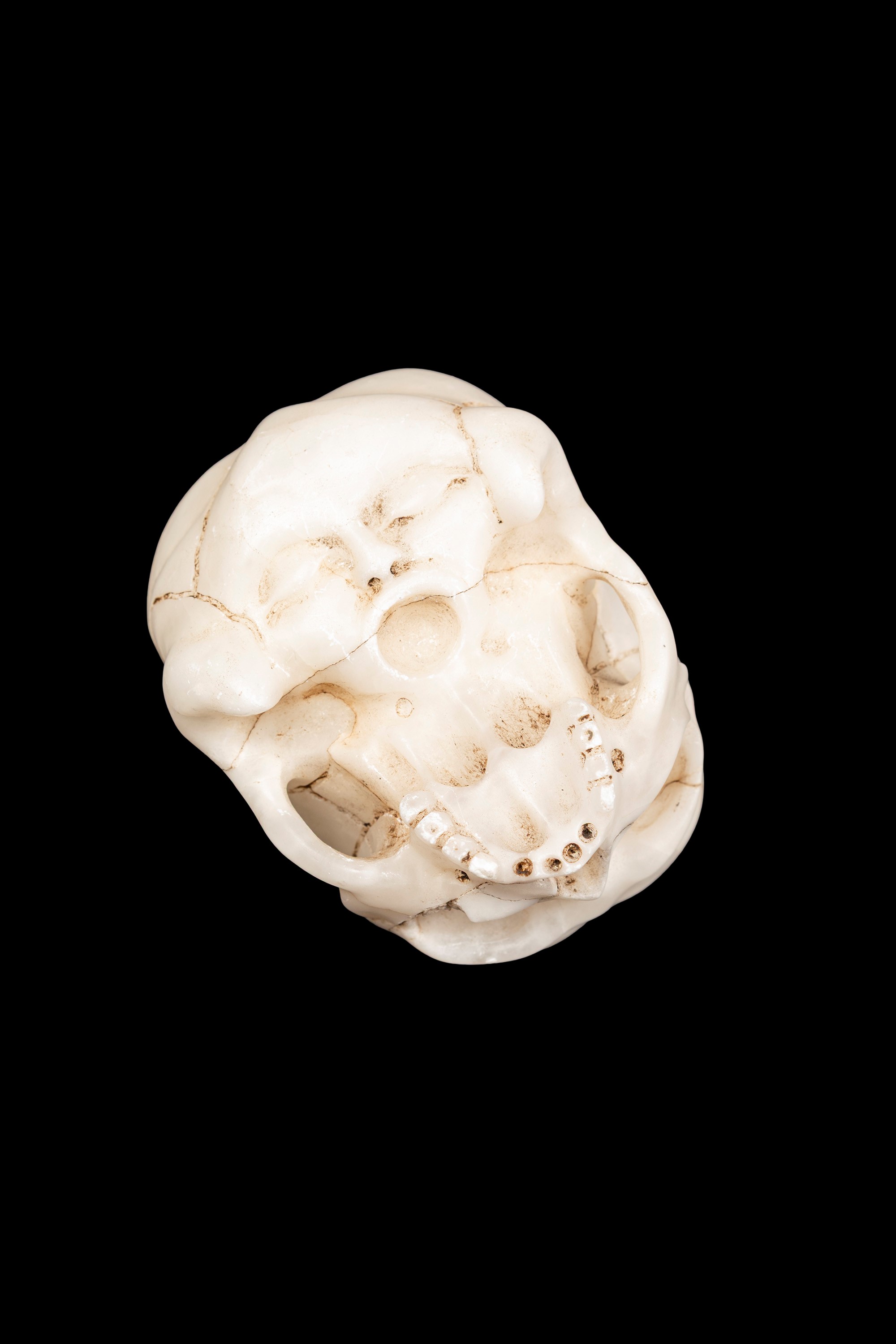 Memento mori in alabastro, teschio con volto sofferente in urlo, Germania XVII secolo