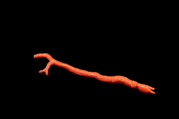 ☼PENNA DA LETTURA PER TORAH IN CORALLO