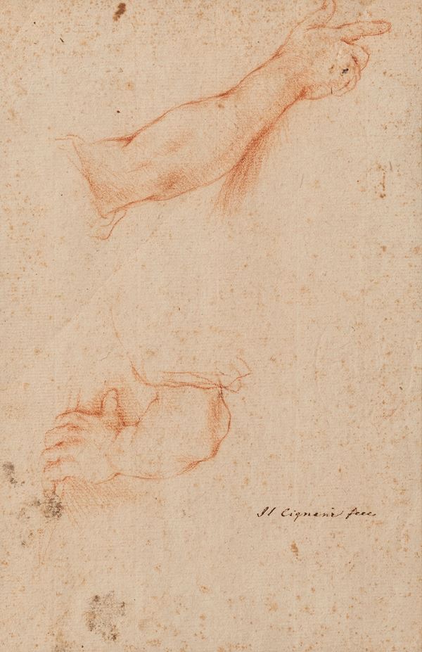 Carlo Cignani - STUDIO DI MANI