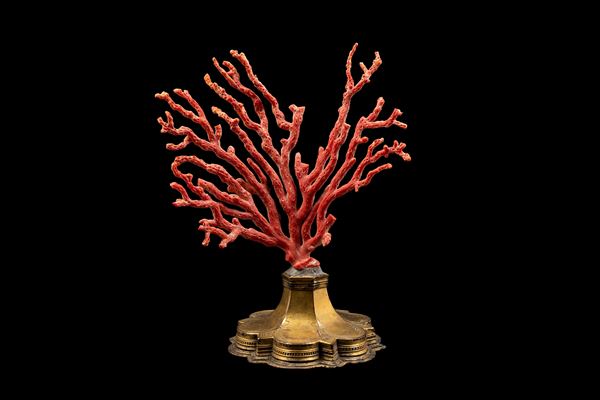 ☼RAMO DI CORALLO ROSSO CON BASE DA CALICE