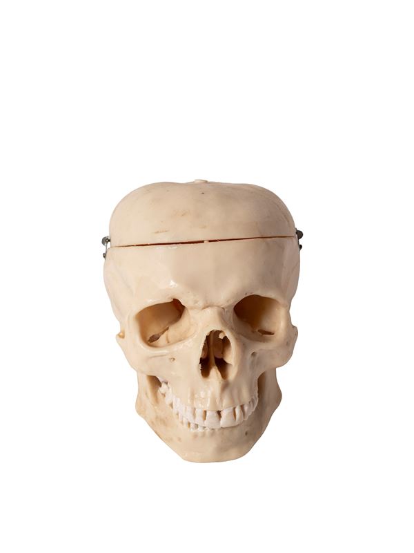 RESIN SKULL