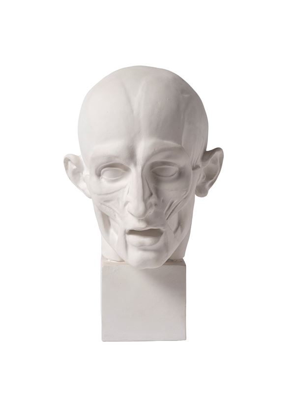 HEAD OF THE FLAYED – JEAN-ANTOINE HOUDON