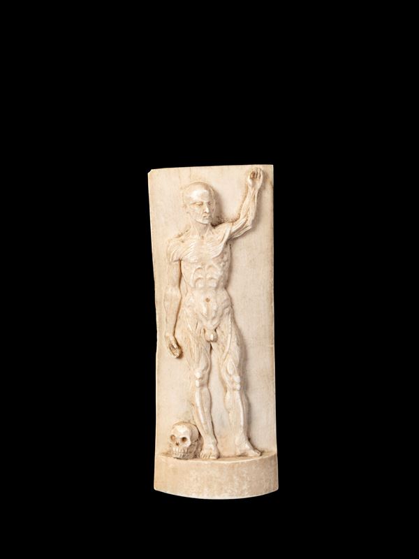 ☼SCORTICATO IN AVORIO