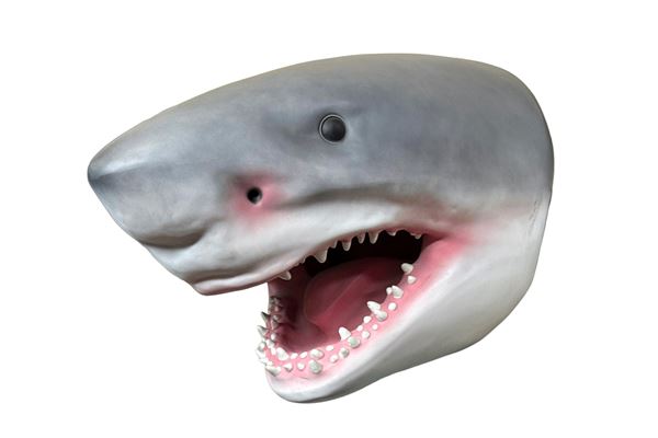 SHARK JAWS" SHARK HEAD