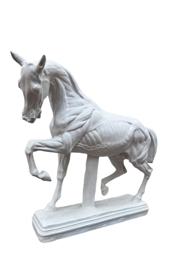 ANTIQUE ANATOMICAL MODEL OF A HORSE