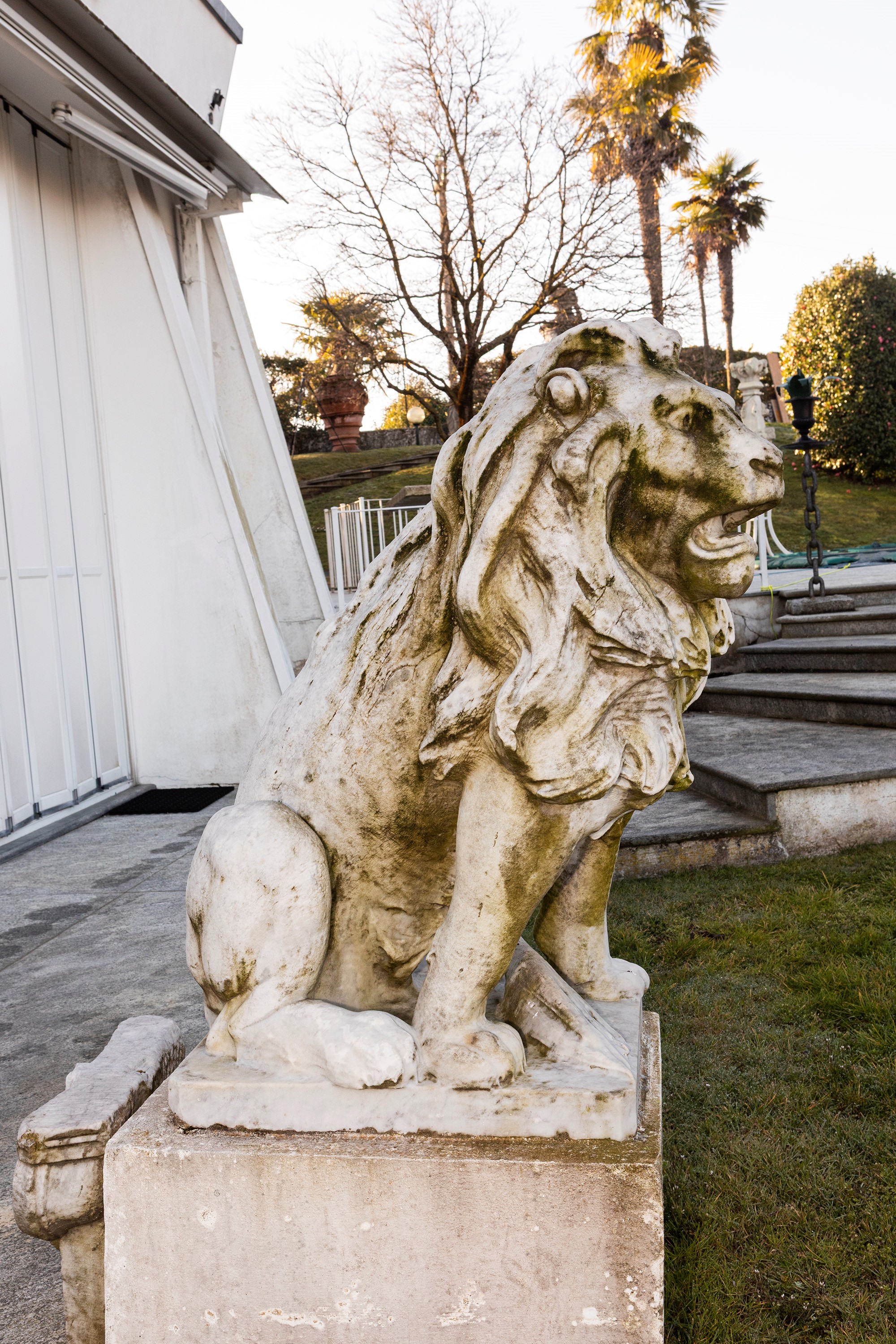 §COPPIA DI GRANDI LEONI IN MARMO