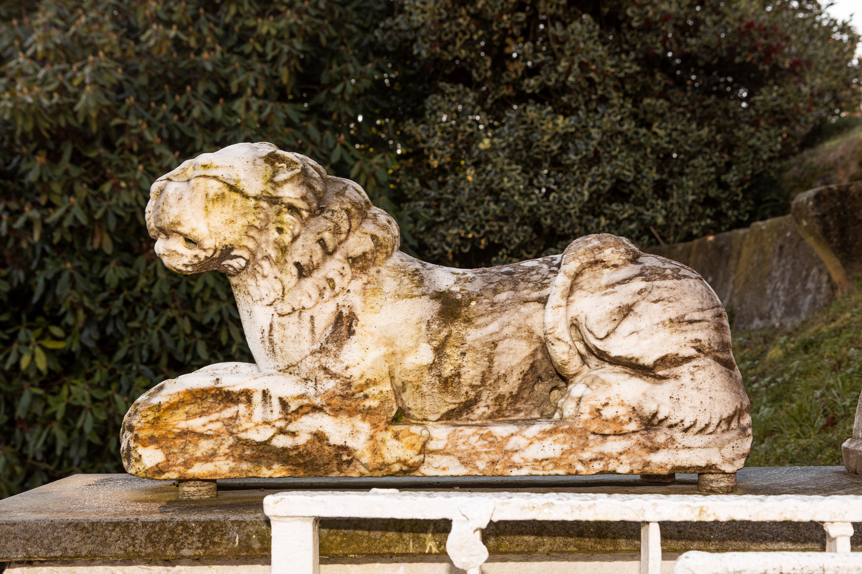 §COPPIA DI LEONI IN MARMO