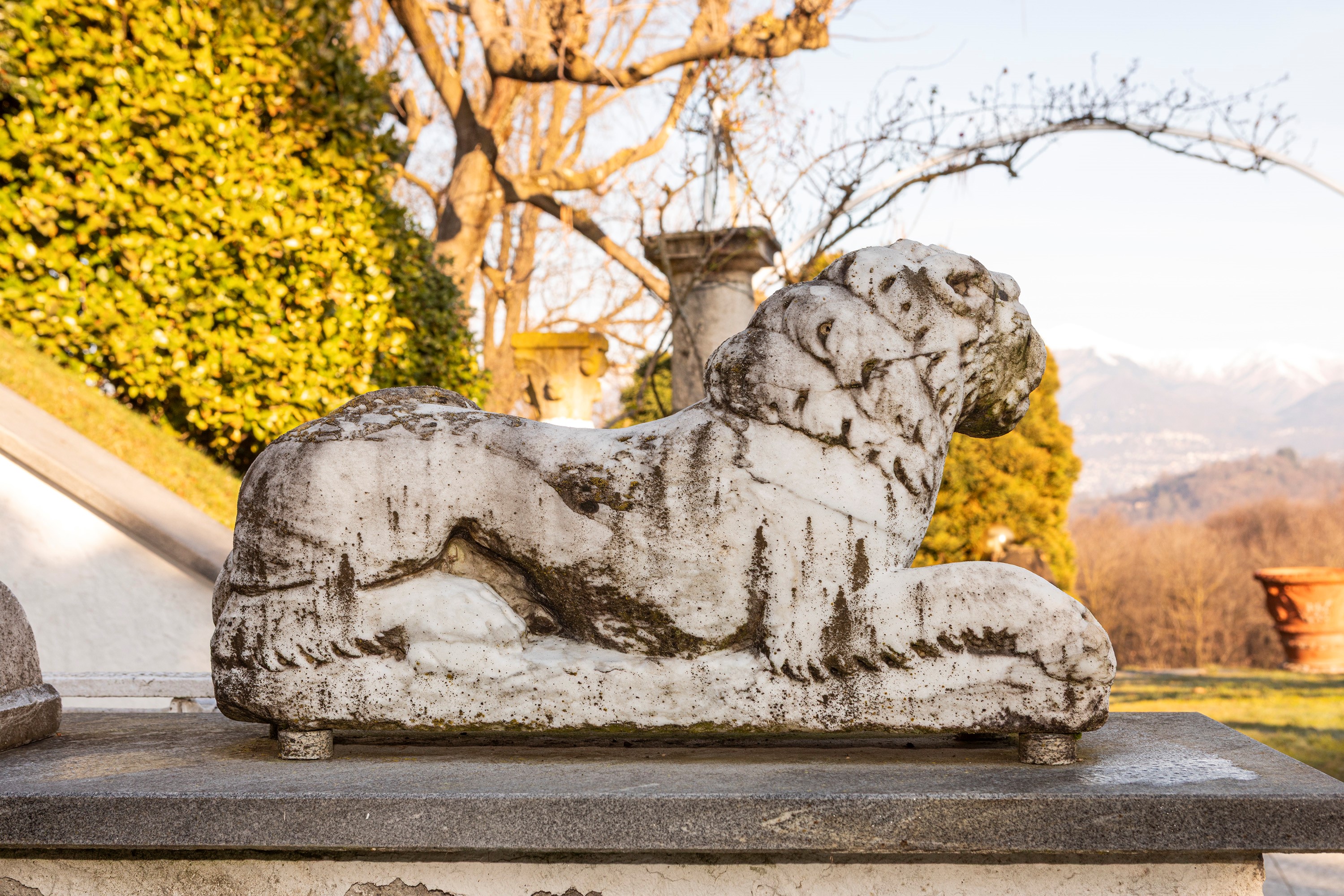 §COPPIA DI LEONI IN MARMO