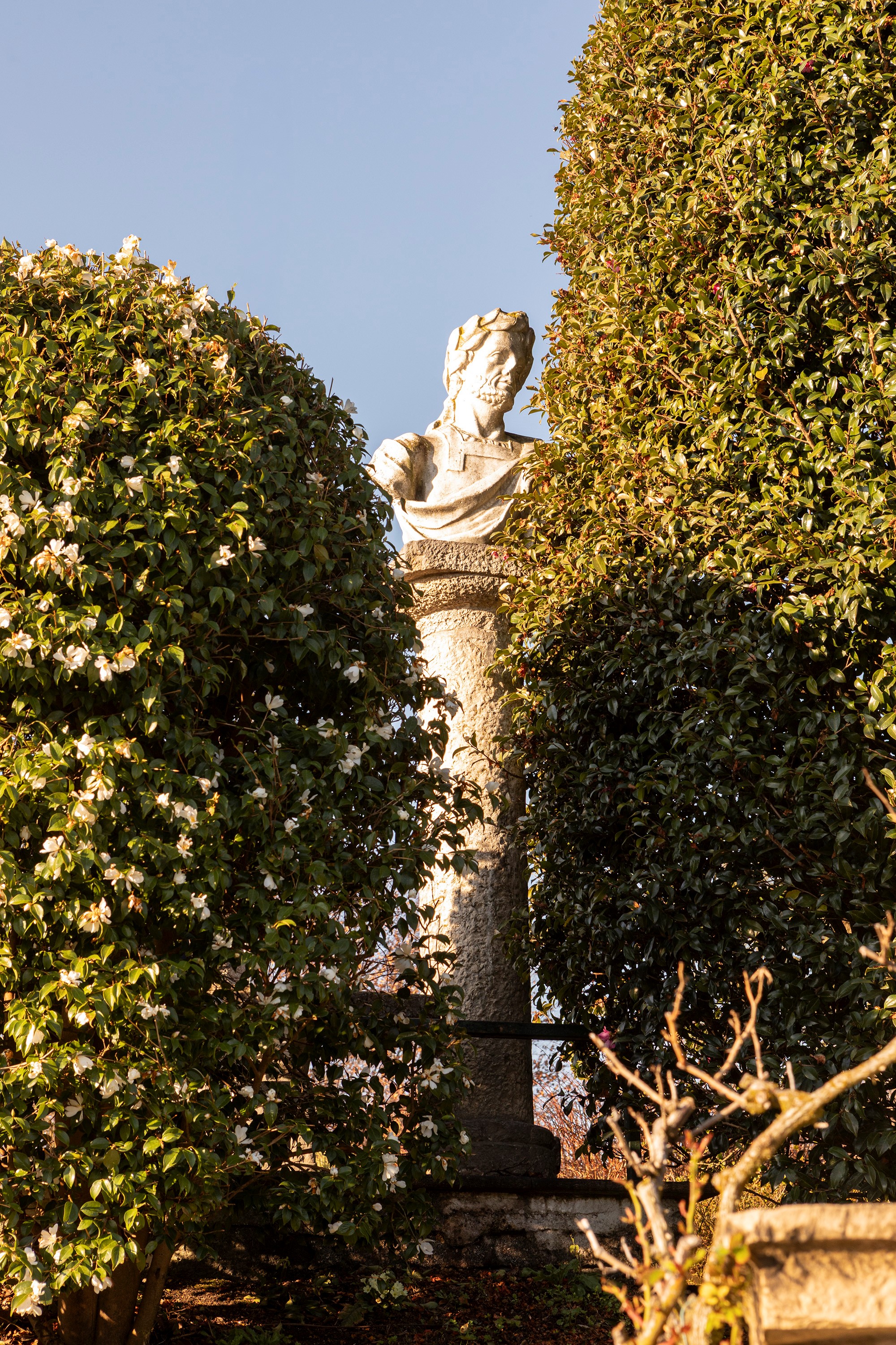 §QUATTRO BUSTI NEOCLASSICI IN MARMO