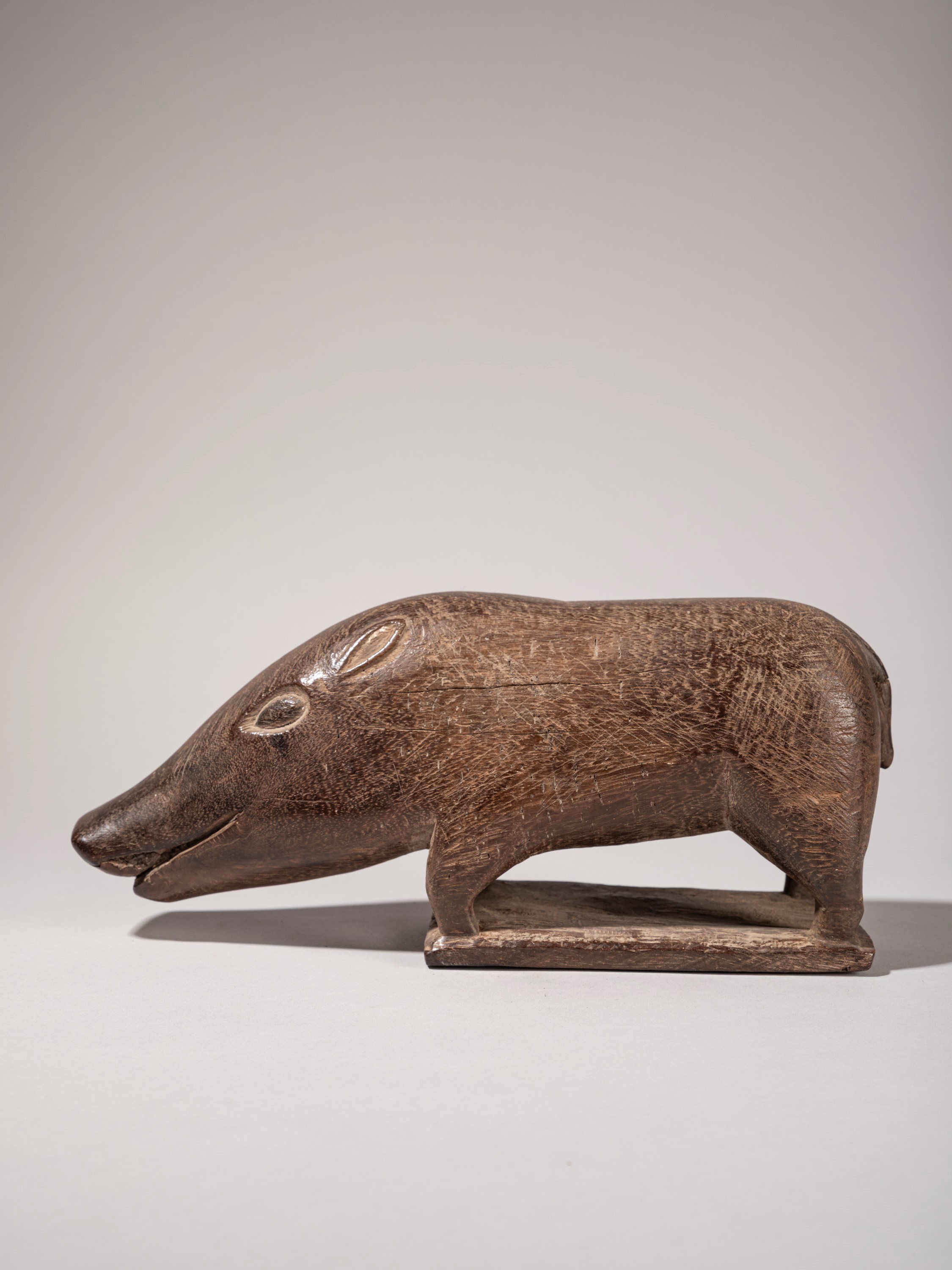 CINGHIALE IN IRONWOOD