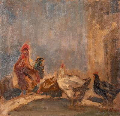 Galline