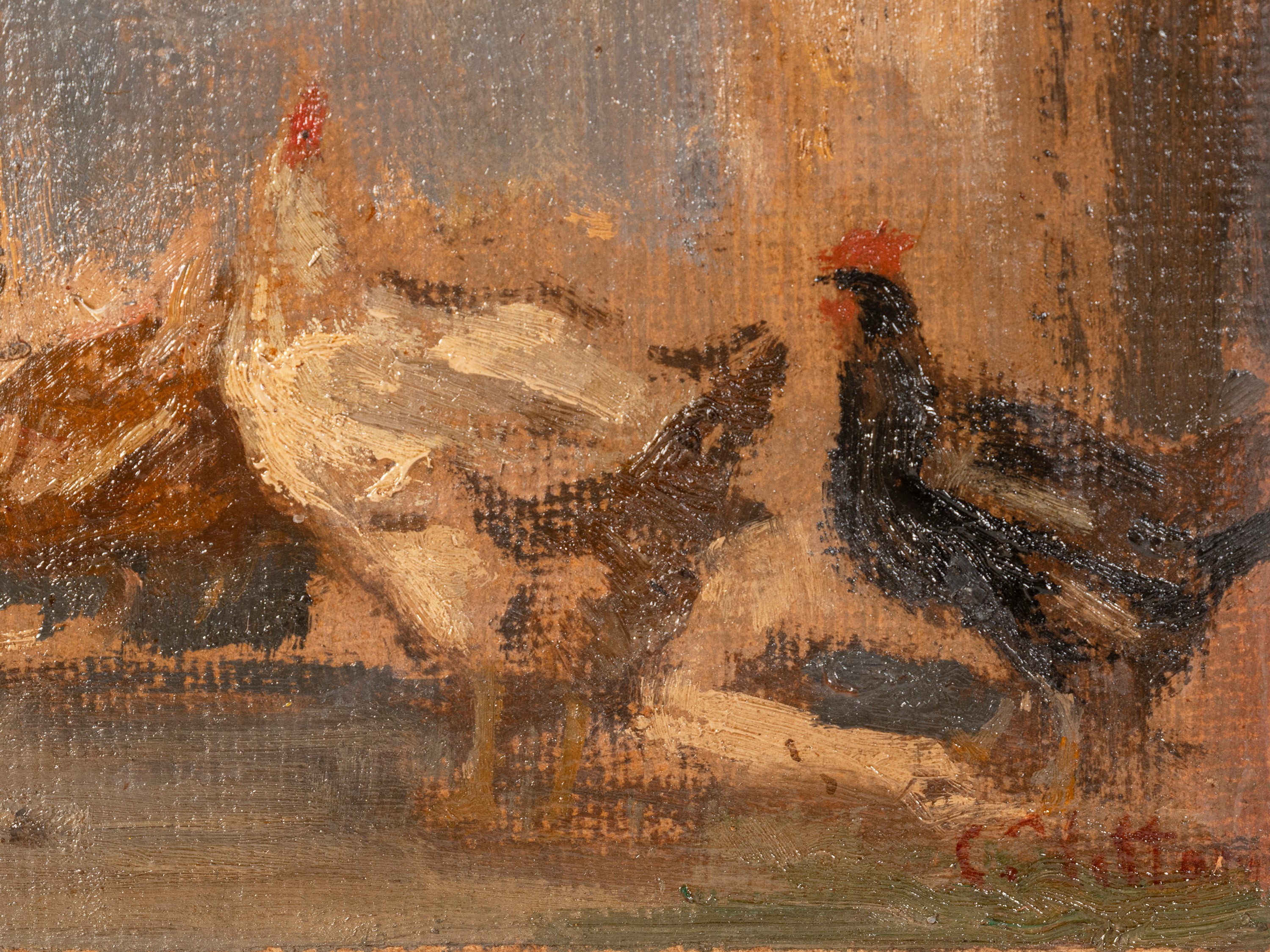 Carlo Vittori - Galline