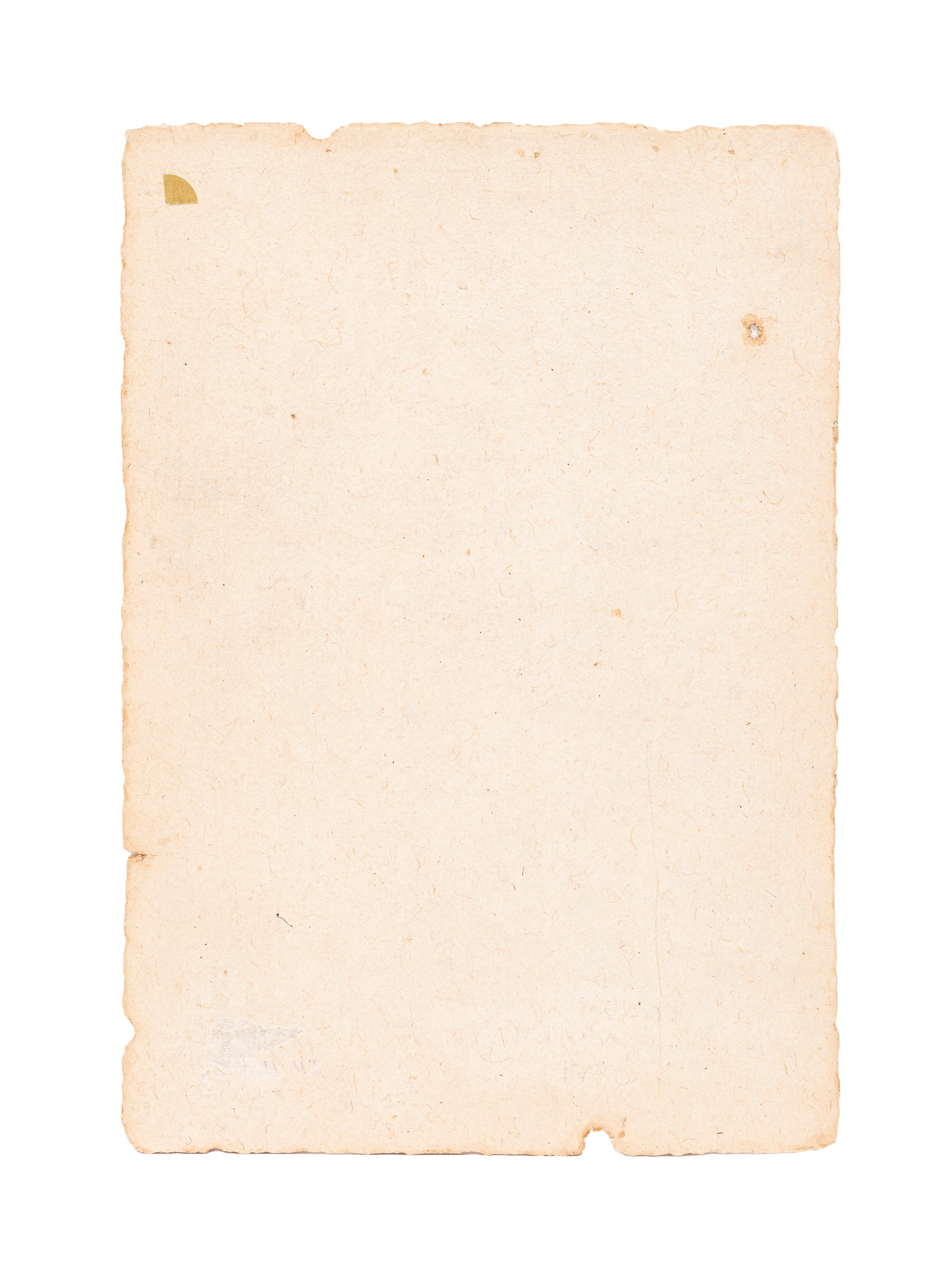 Ritratto di Thakur, miniatura, India,  XIX secolo