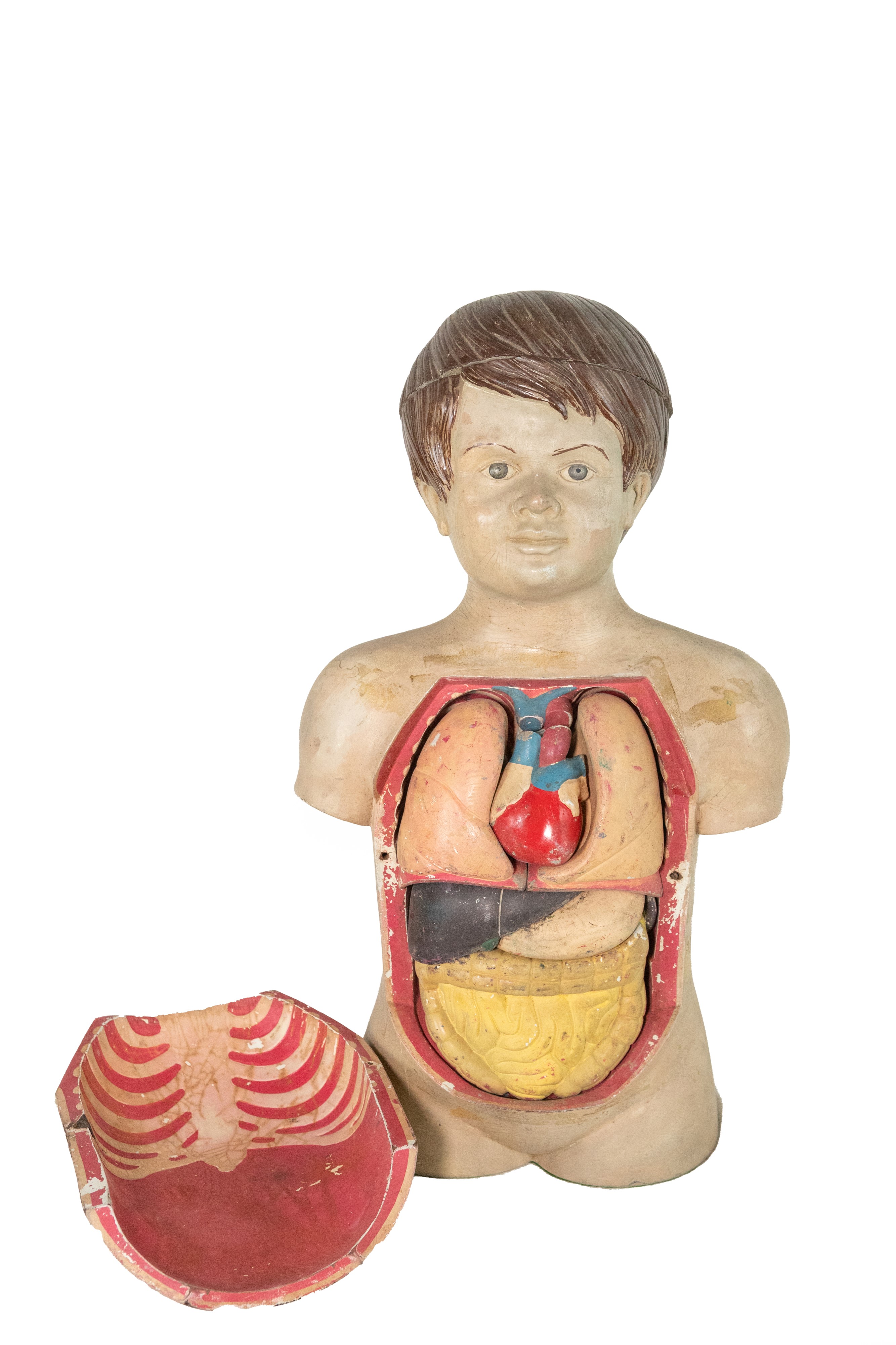 °BUSTO ANATOMICO
