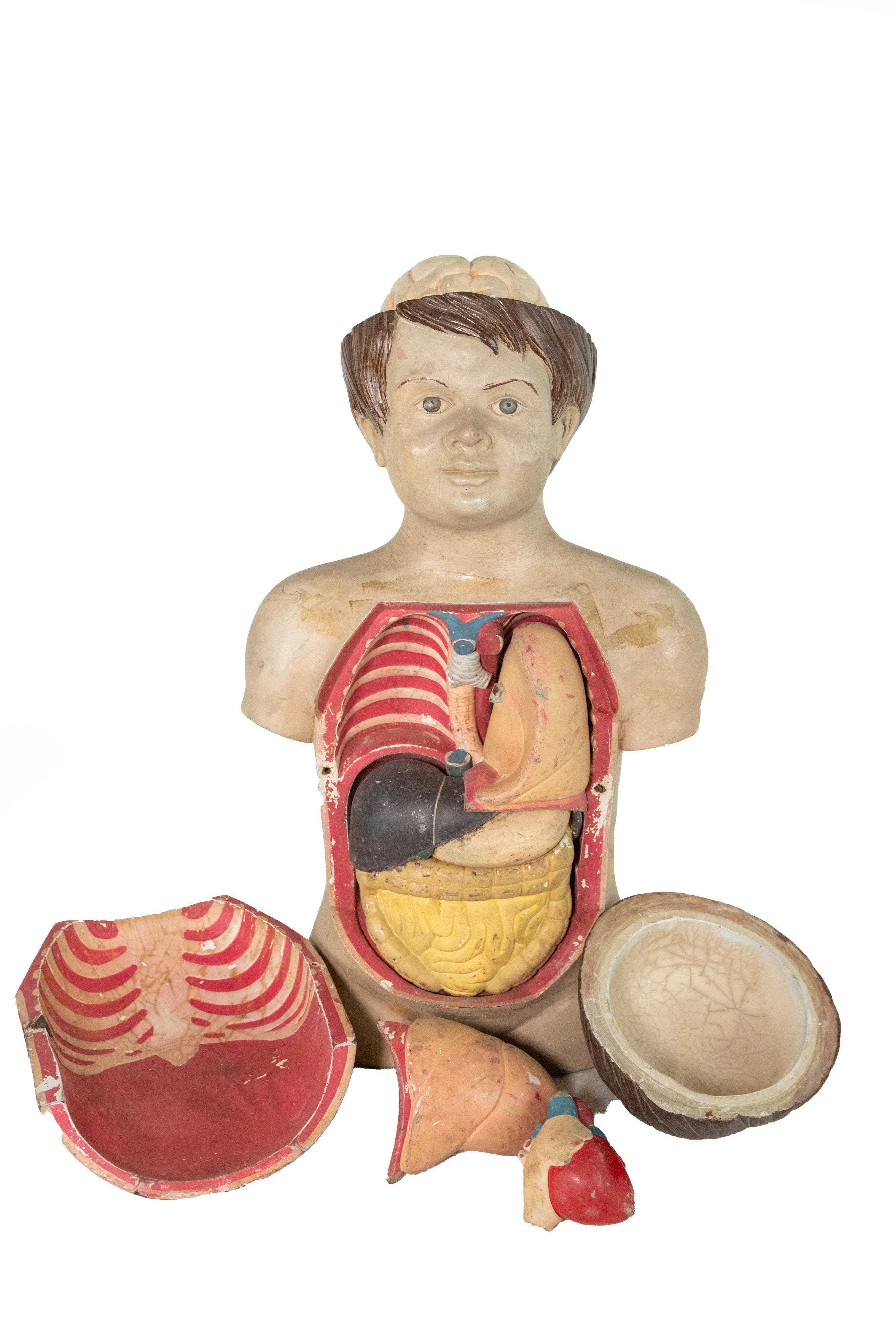 °BUSTO ANATOMICO