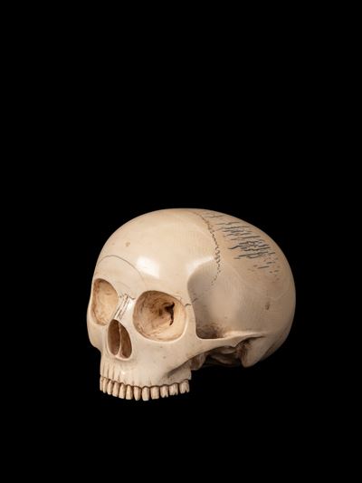 Giappone (periodo Meiji), Memento mori con teschio in avorio finemente modellato