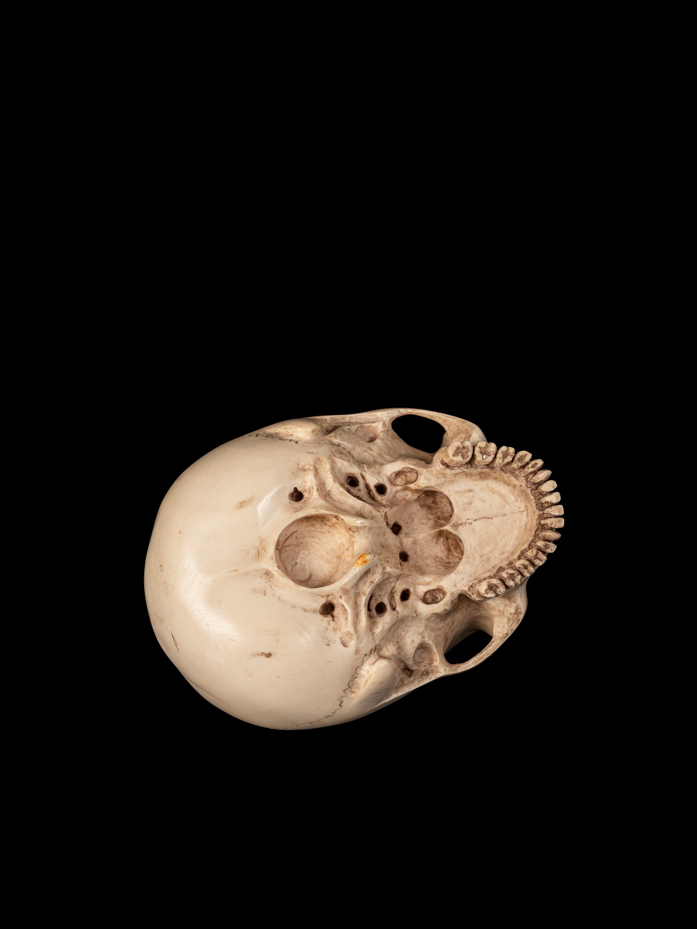 Giappone (periodo Meiji), Memento mori con teschio in avorio finemente modellato