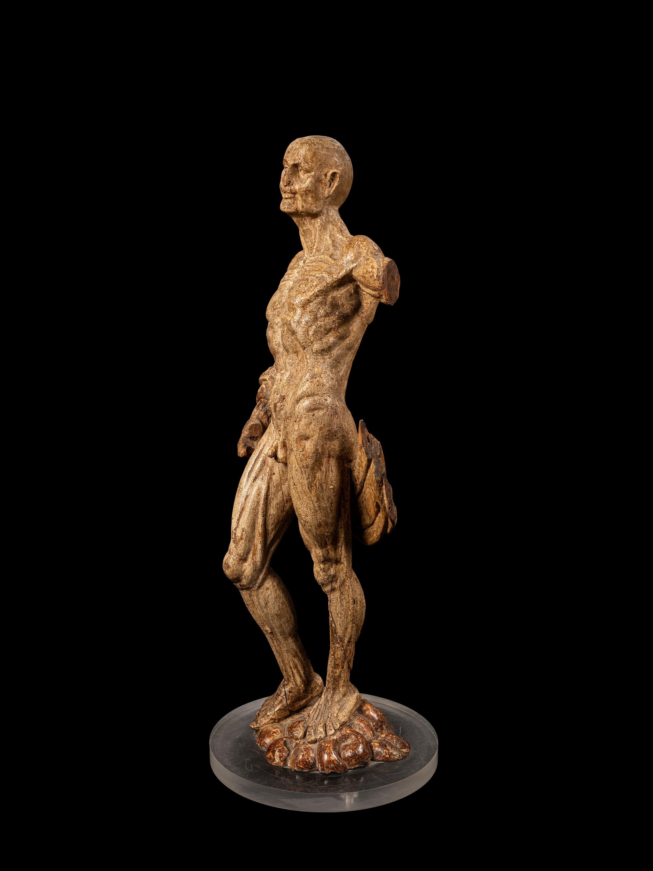 Modello anatomico in legno laccato, XVIII/XIX secolo