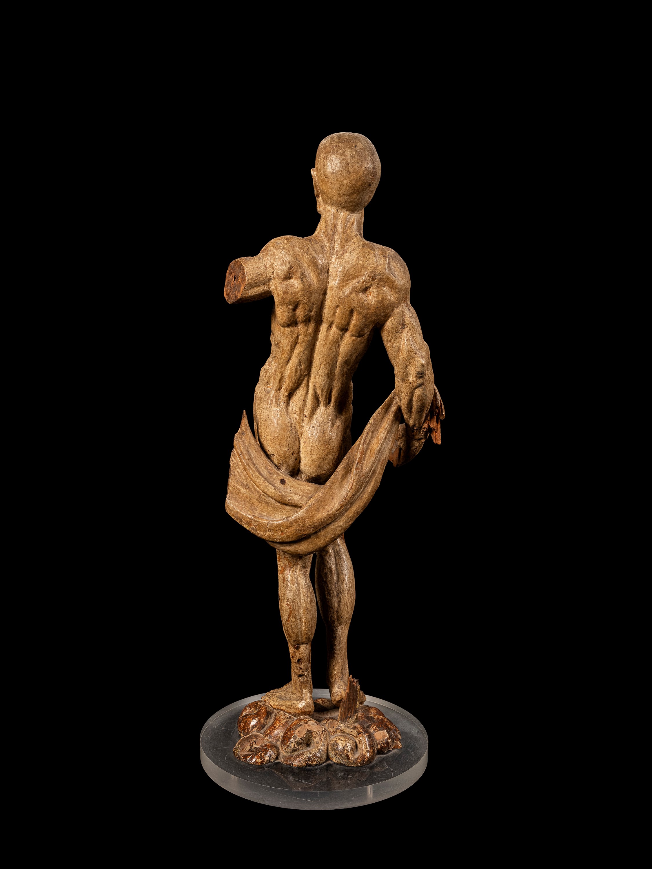 Modello anatomico in legno laccato, XVIII/XIX secolo
