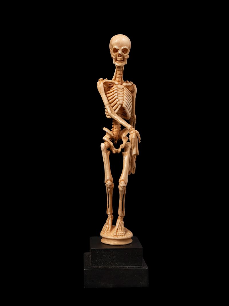 Memento mori, raffigurazione con scheletro, Germania, XIX secolo